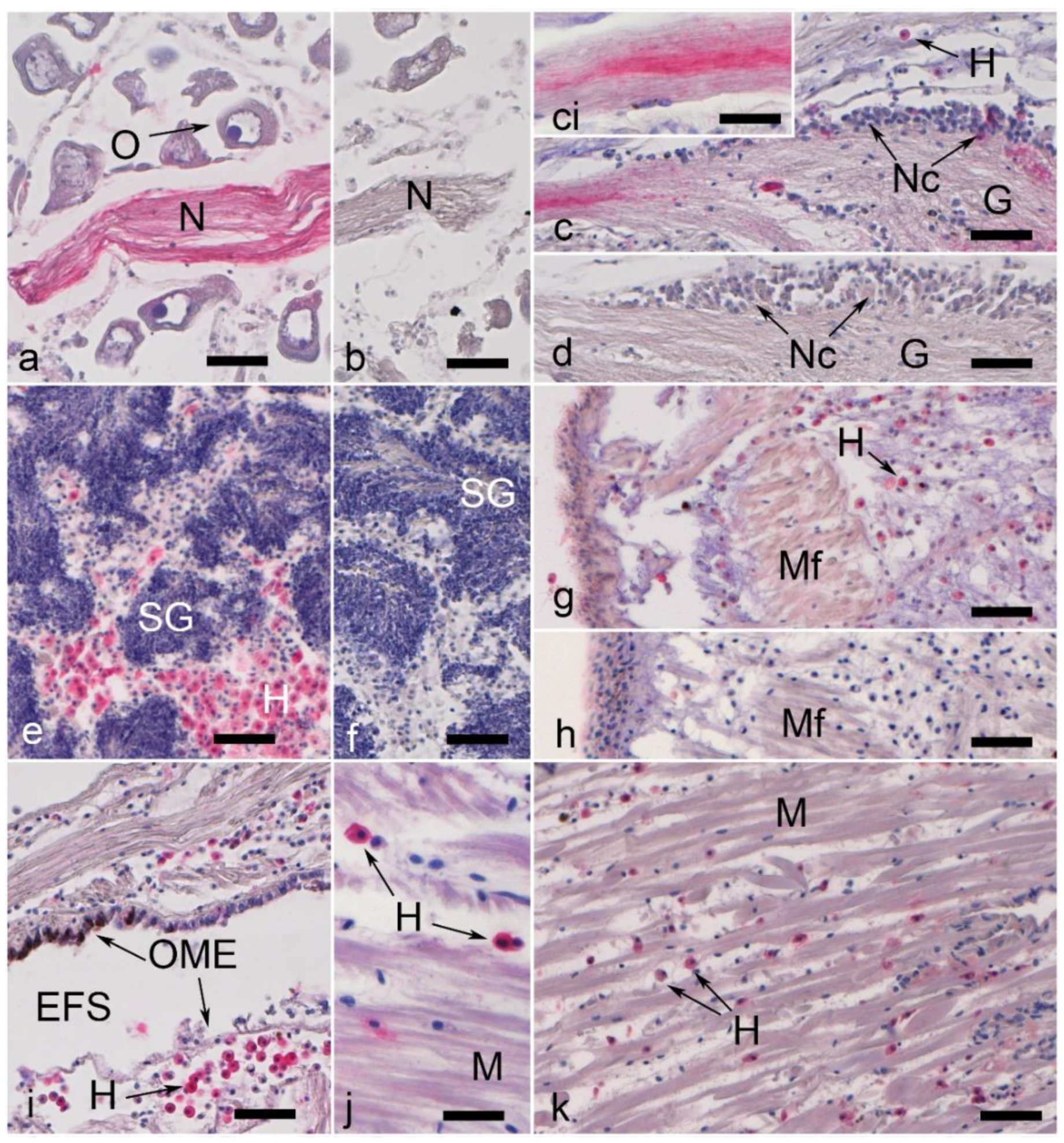 Fishes 07 00074 g002 Fishes 07 00074 g002
