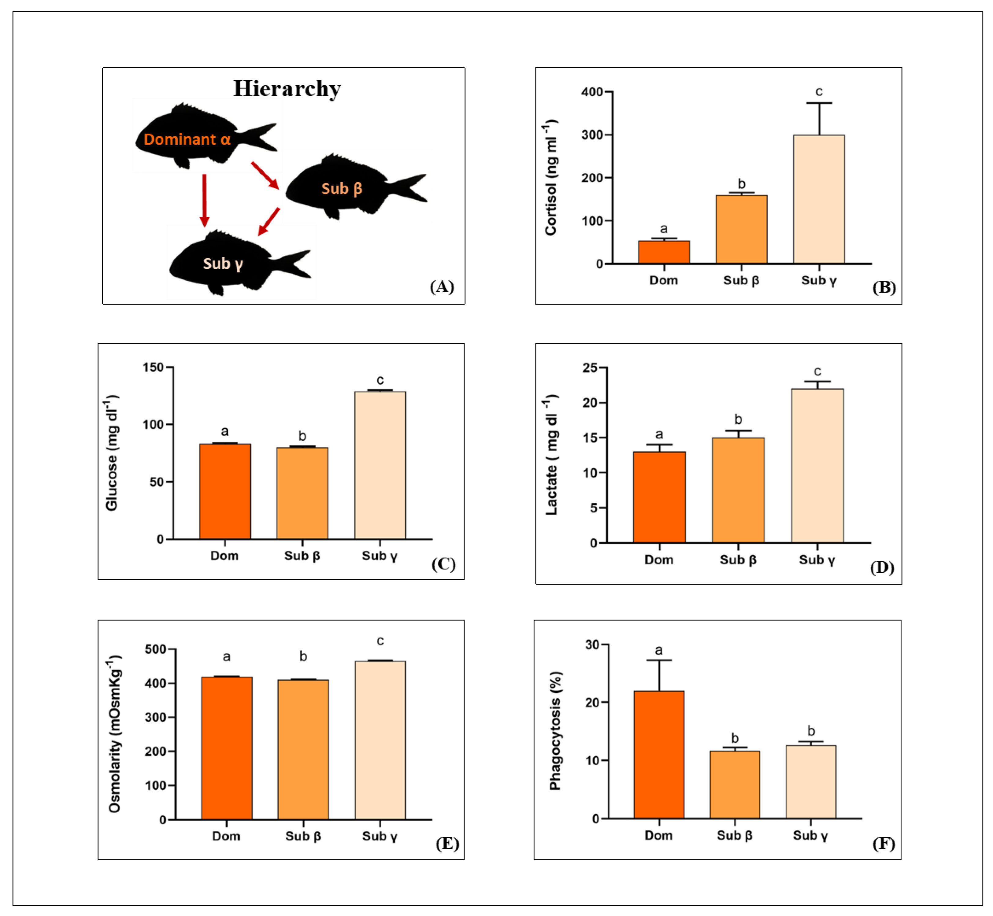 Fishes 07 00075 g001 Fishes 07 00075 g001