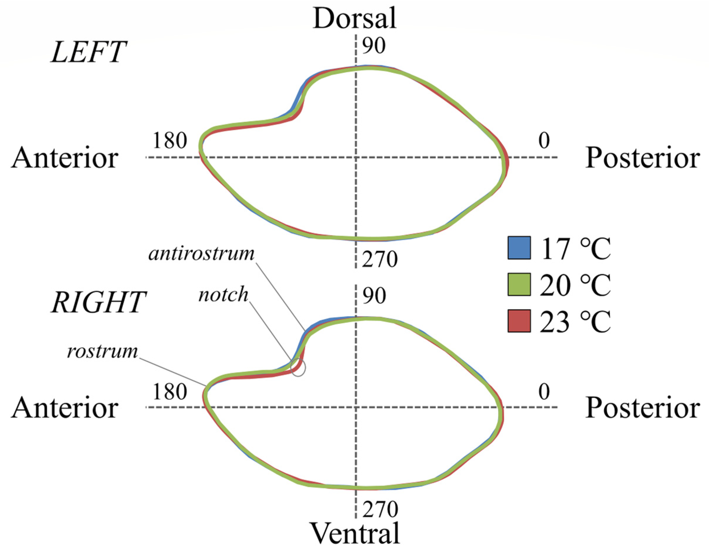 Fishes 07 00082 g004 550