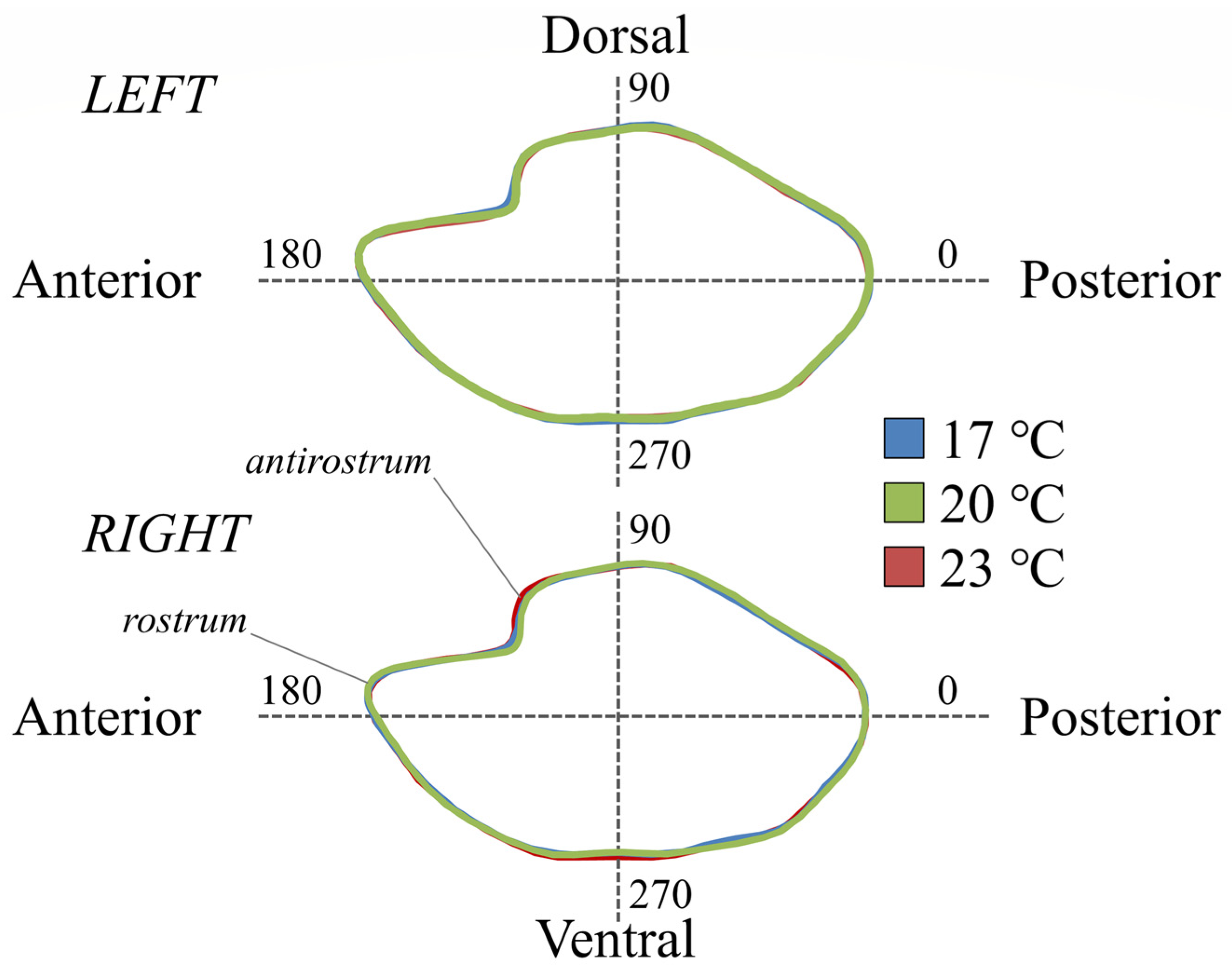 Fishes 07 00082 g005 550