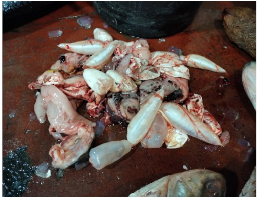 Fishes 07 00084 i001