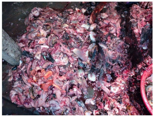 Fishes 07 00084 i002