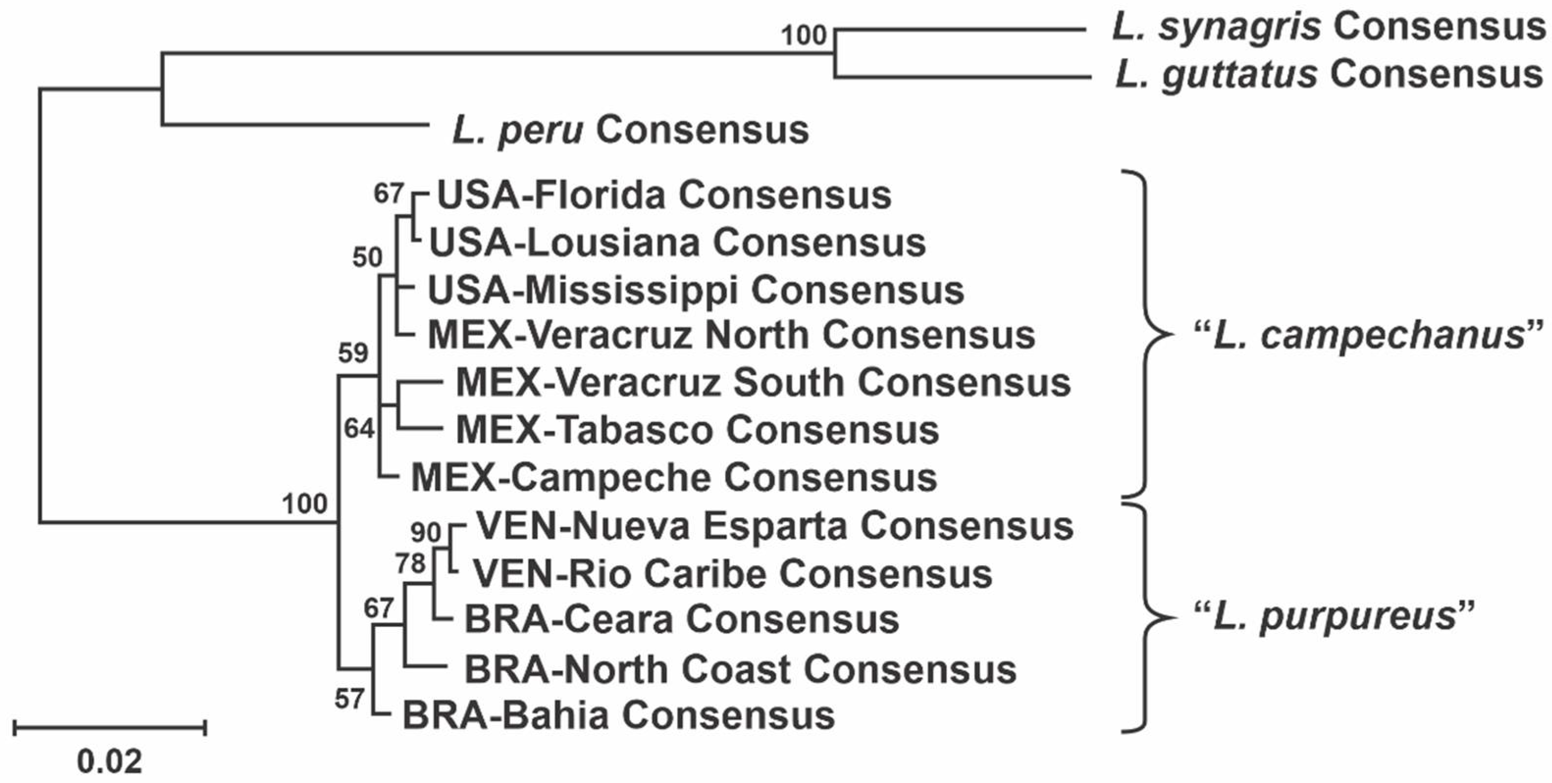 Fishes 07 00085 g006 550