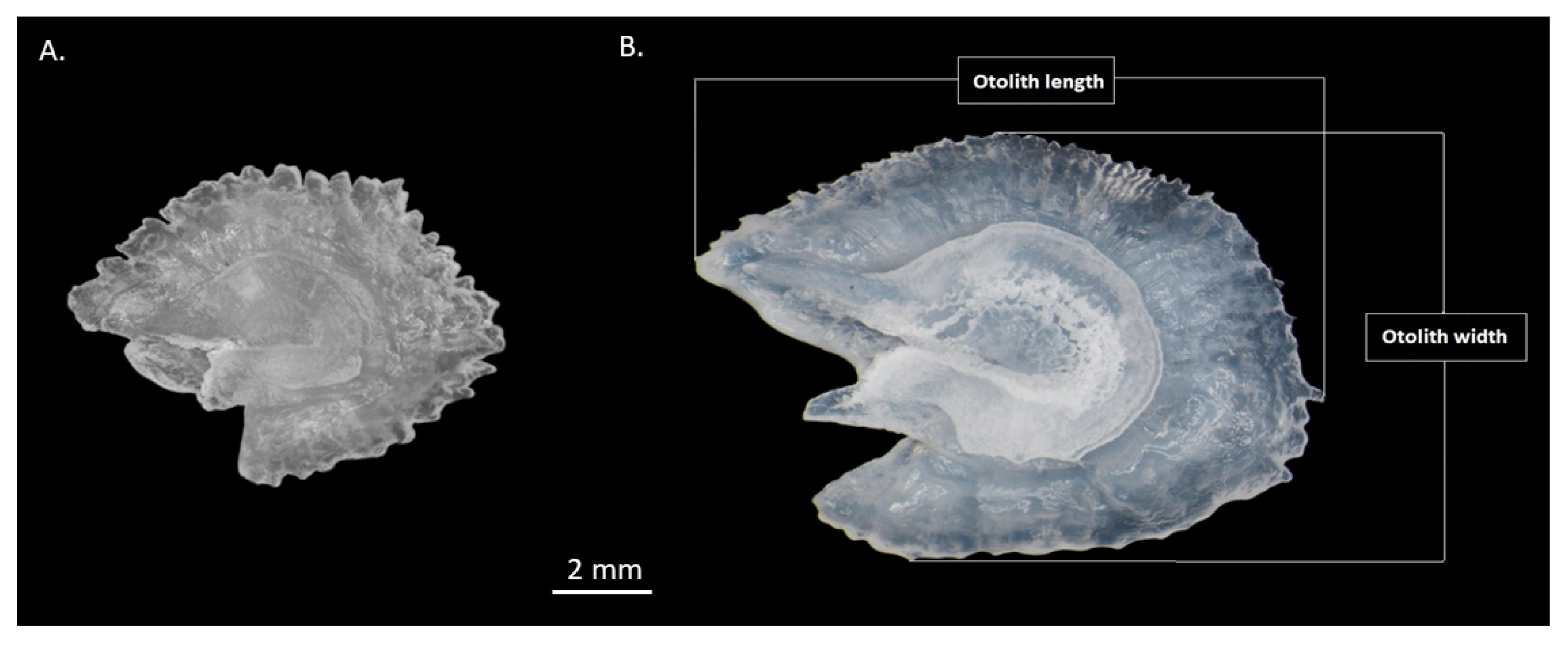 Fishes 07 00091 g002
