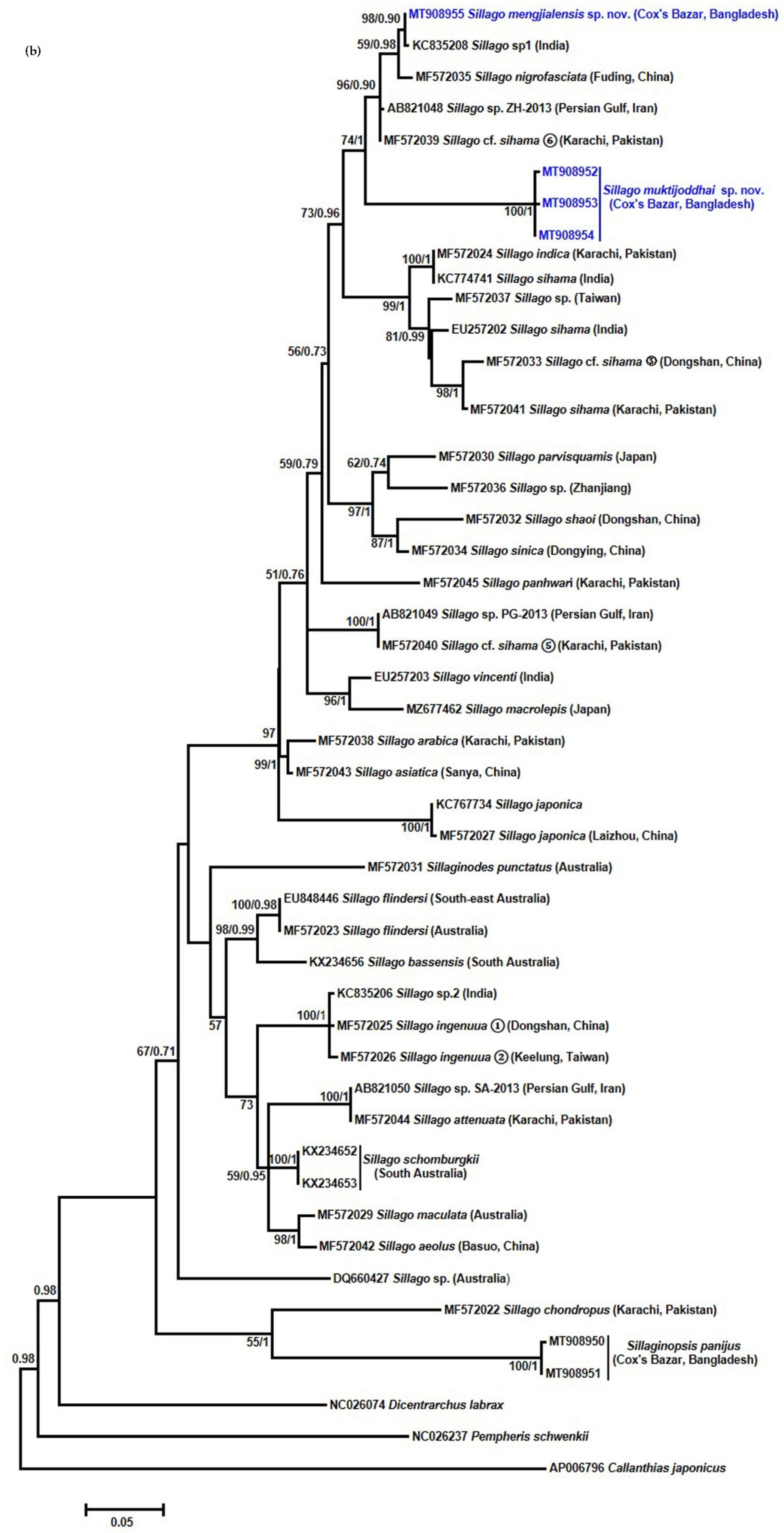 Fishes 07 00093 g004b 550