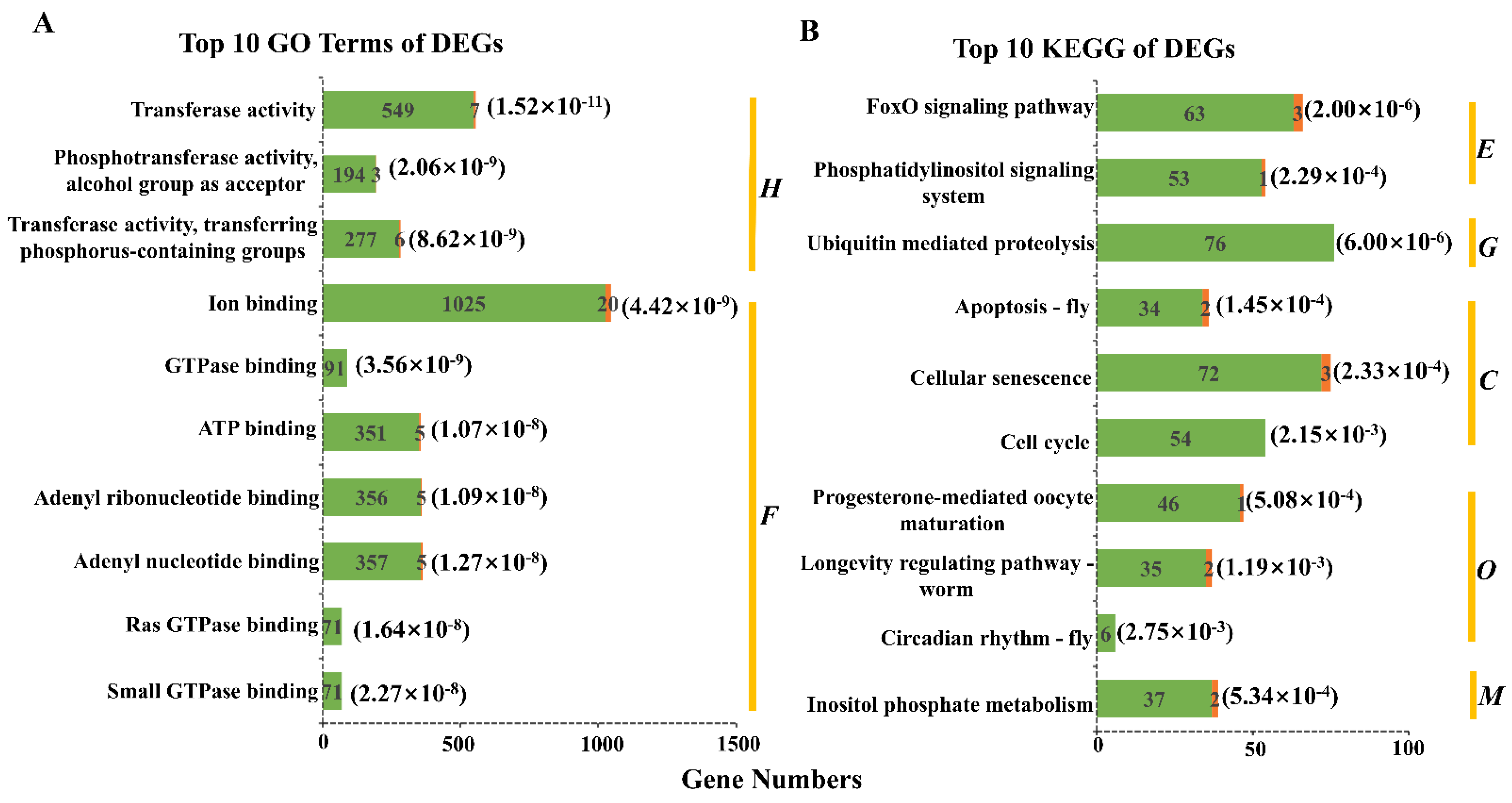 Fishes 07 00096 g001