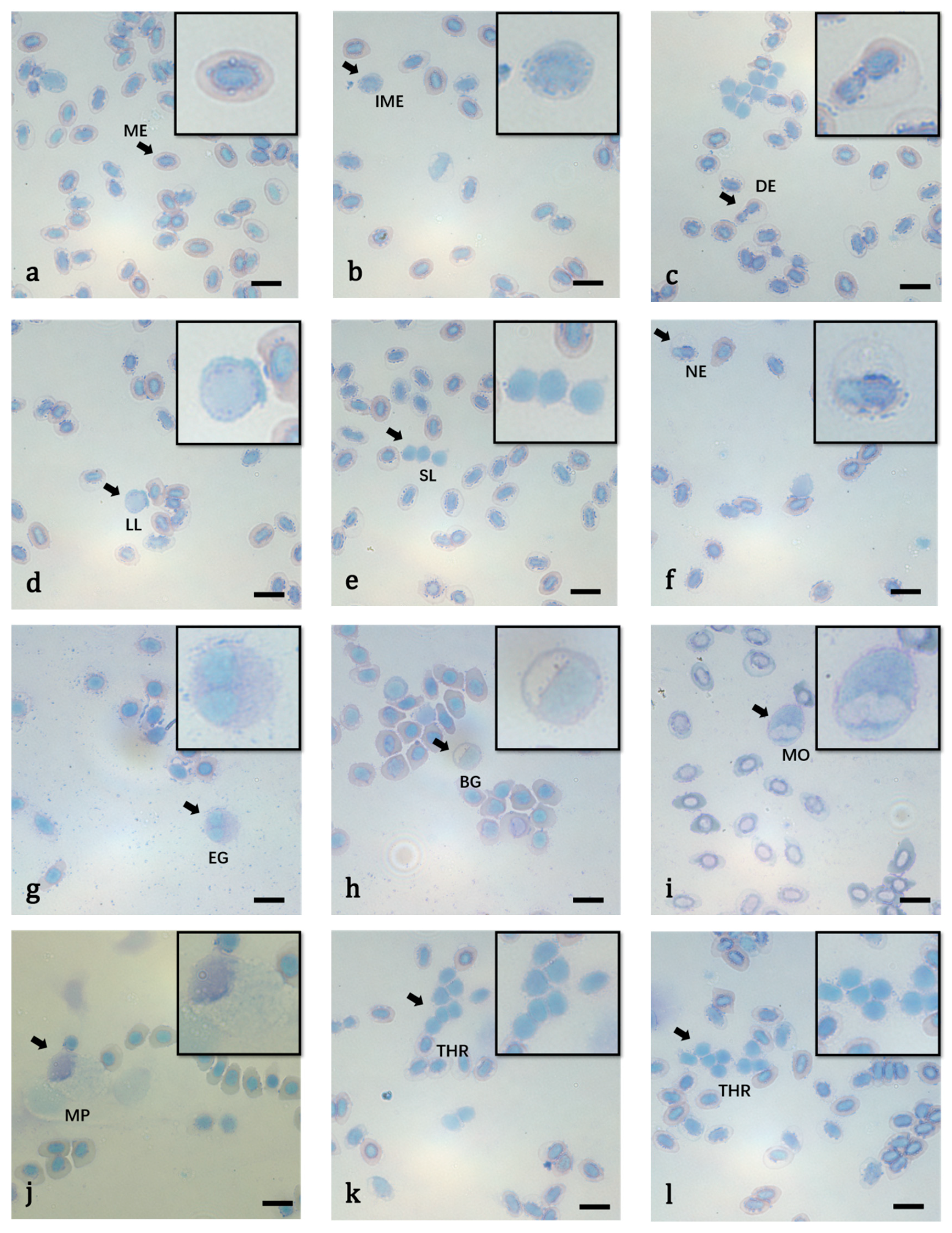 Fishes 07 00098 g002