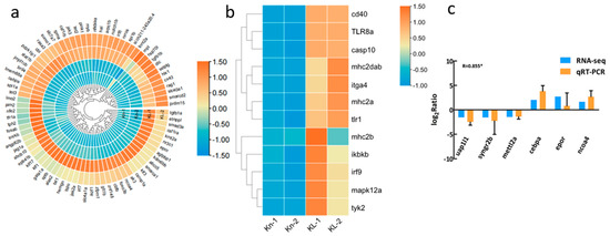 Hematogenesis Adaptation to Long-Term Hypoxia Acclimation in
