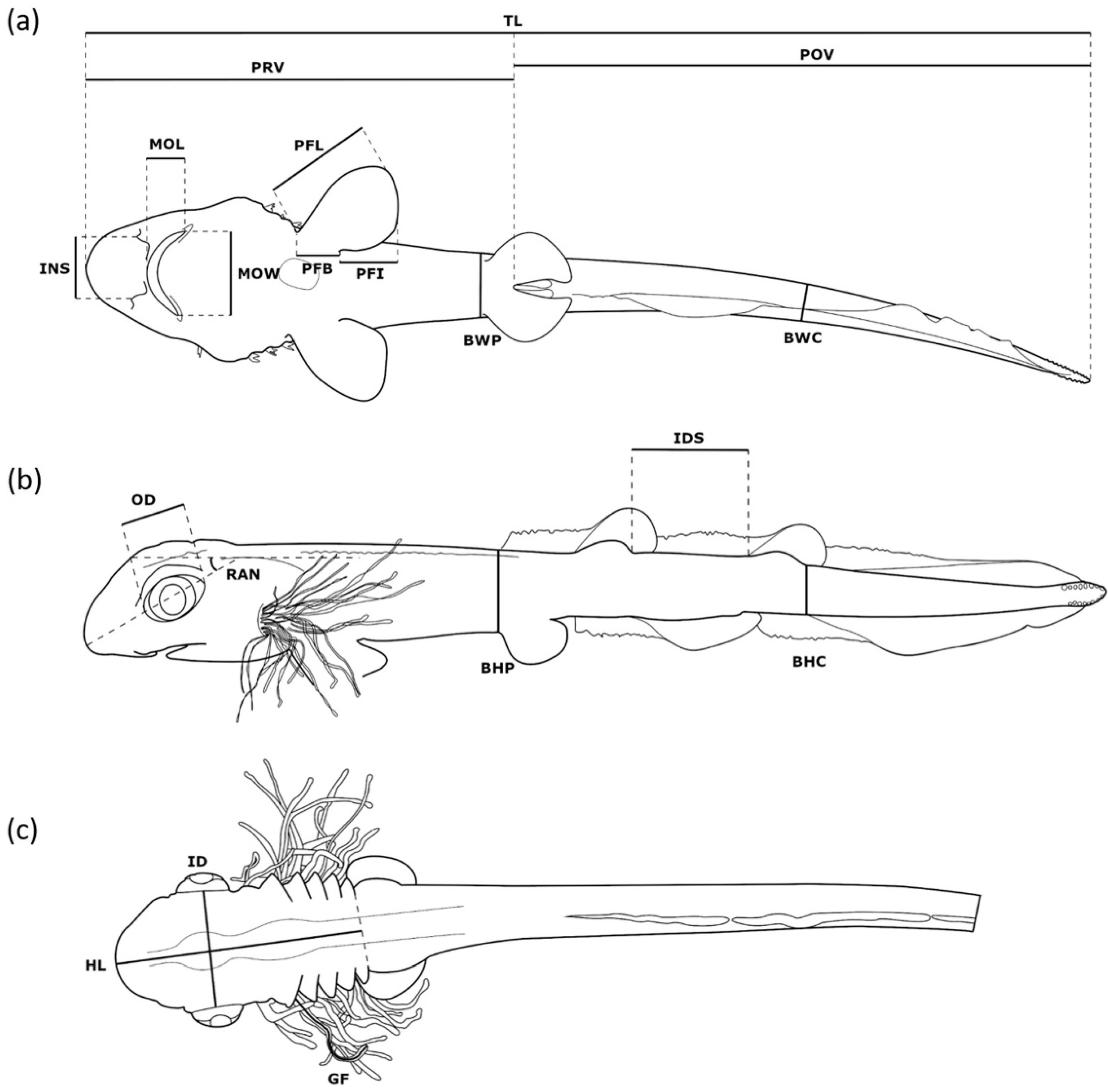 Fishes 07 00100 g001 550
