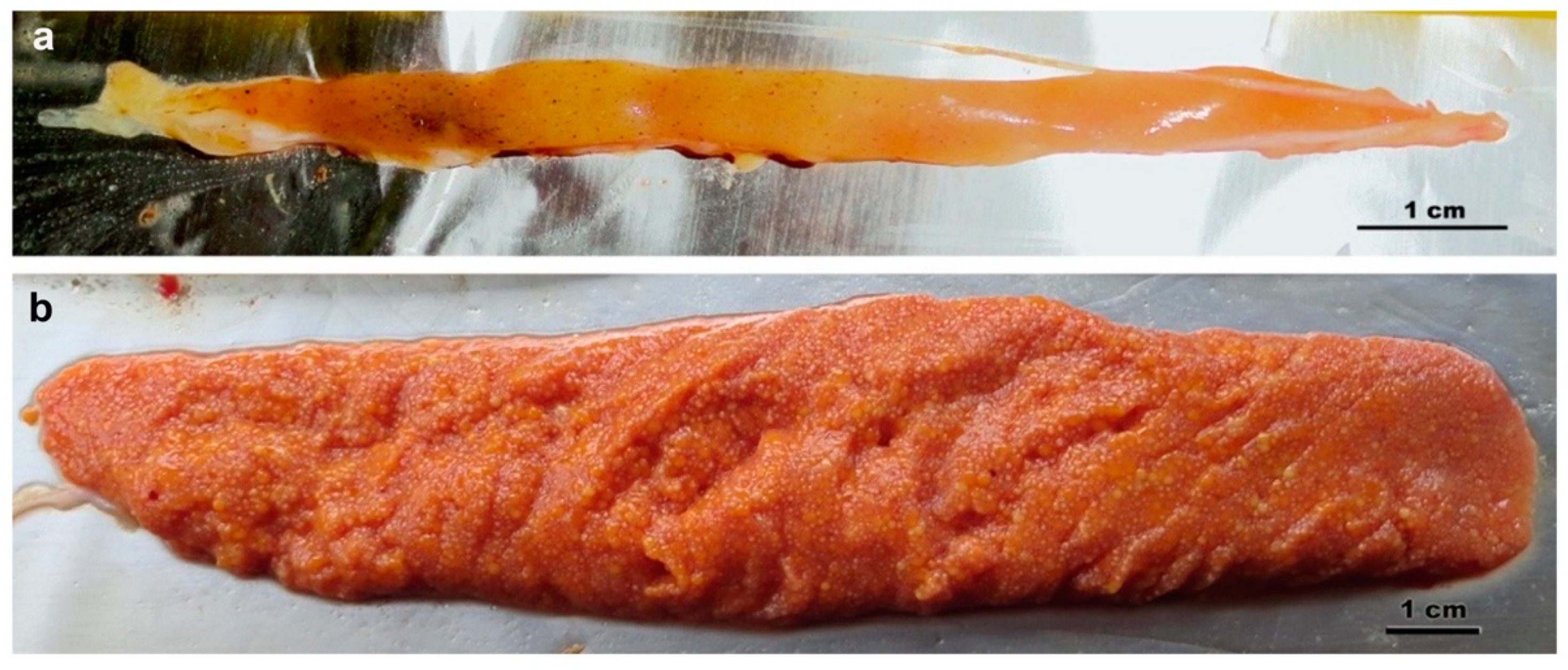 Fishes 07 00106 g001