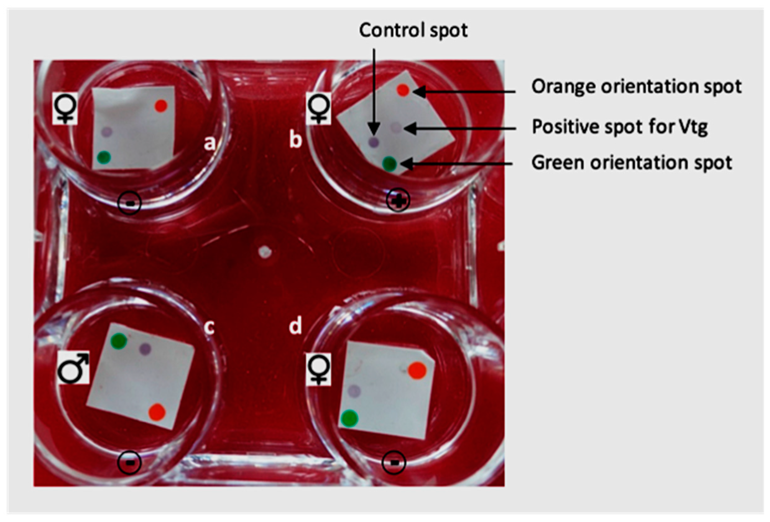 Fishes 07 00106 g002