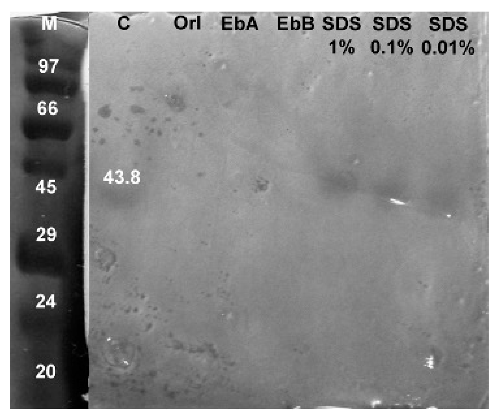 Fishes 07 00107 g004