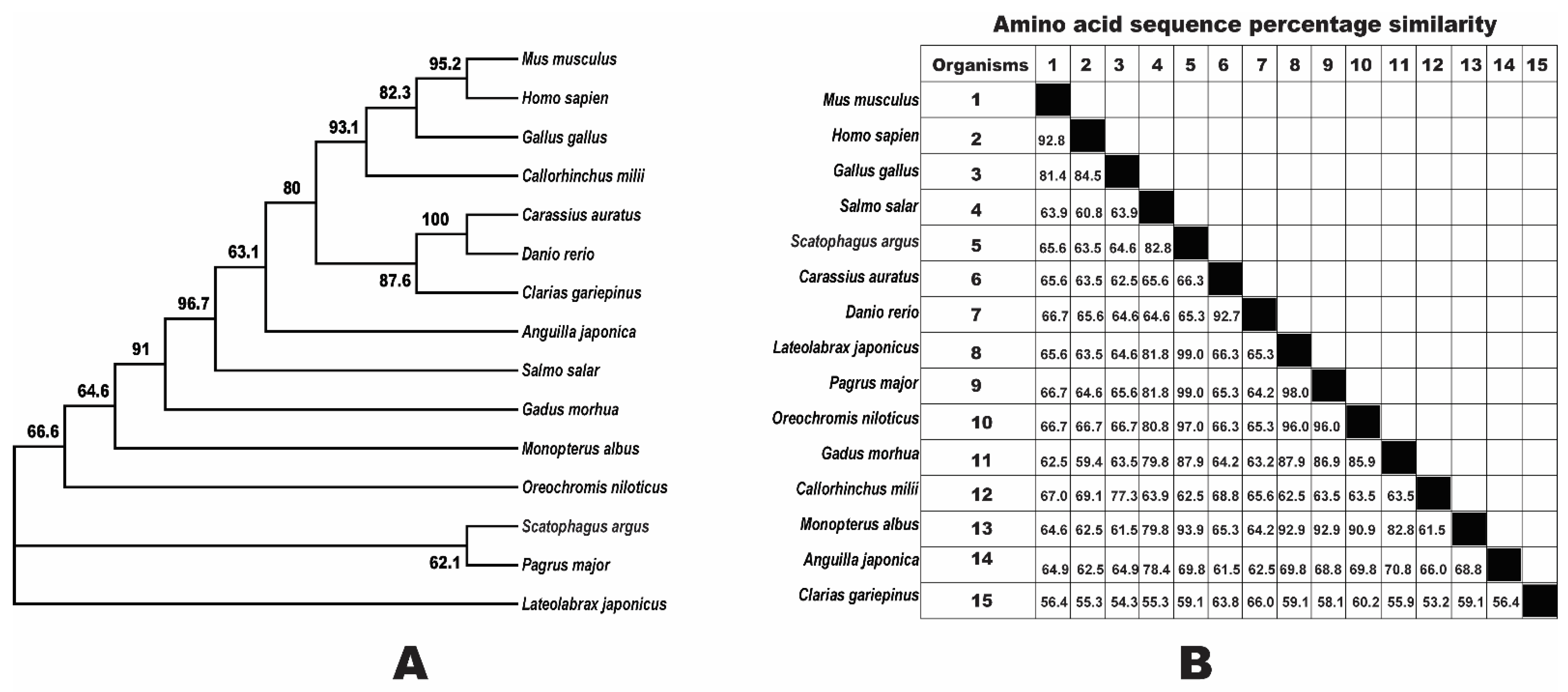 Fishes 07 00111 g002 550