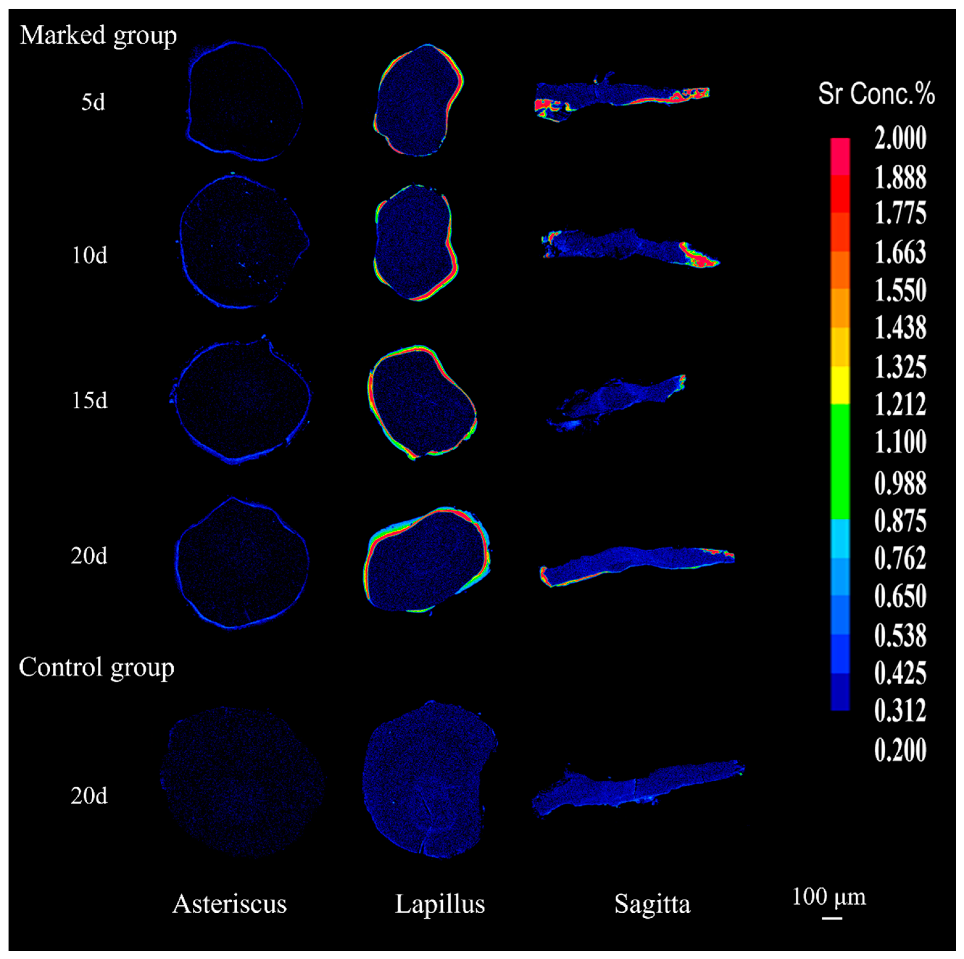 Fishes 07 00112 g004