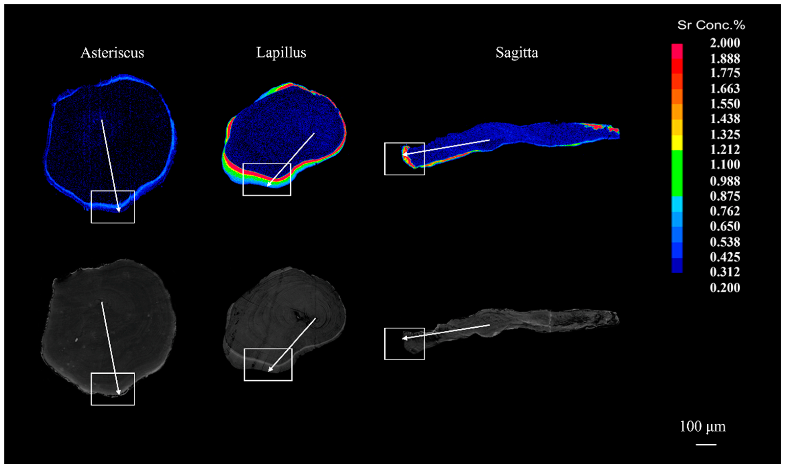 Fishes 07 00112 g005