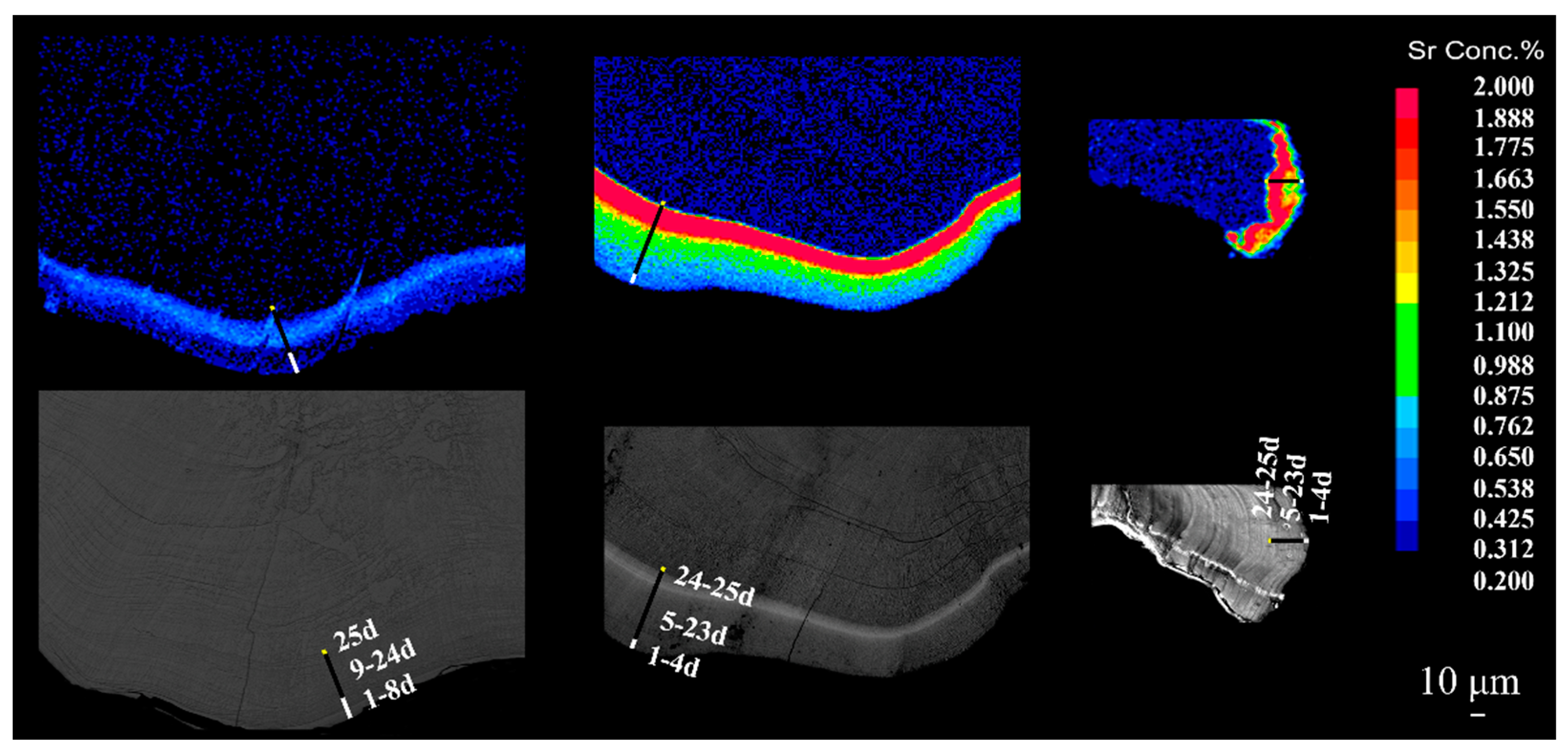 Fishes 07 00112 g006