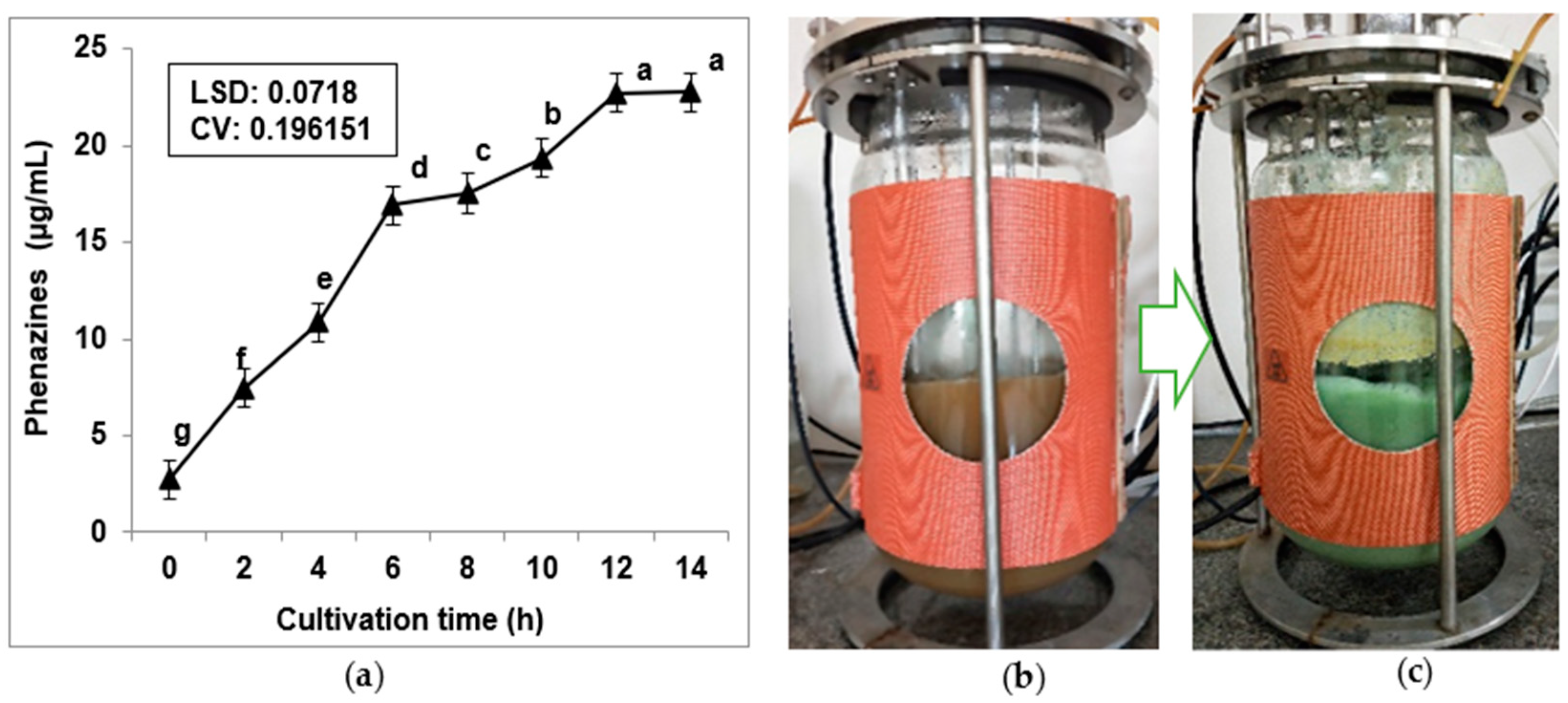 Fishes 07 00113 g005