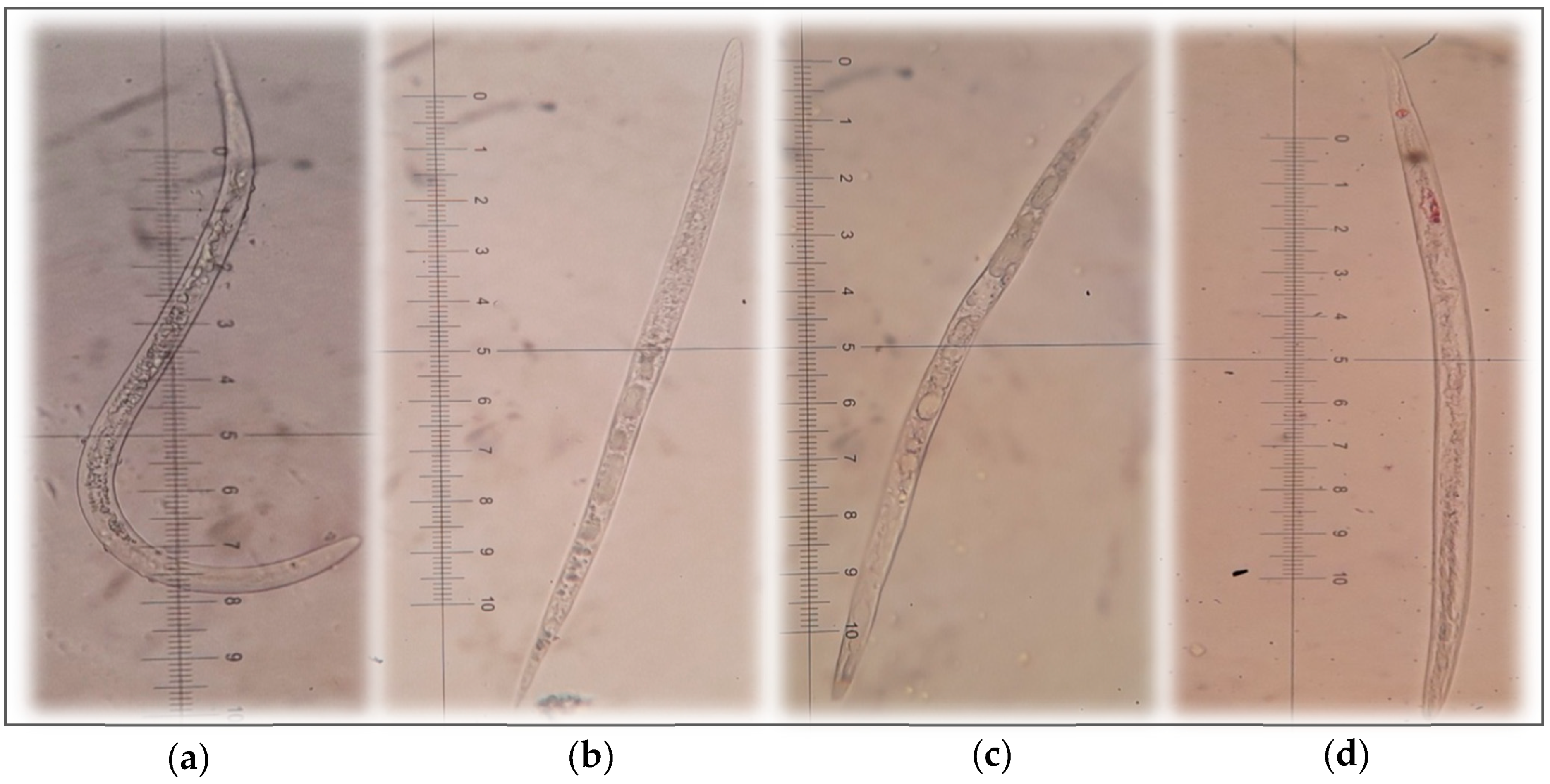 Fishes 07 00113 g009