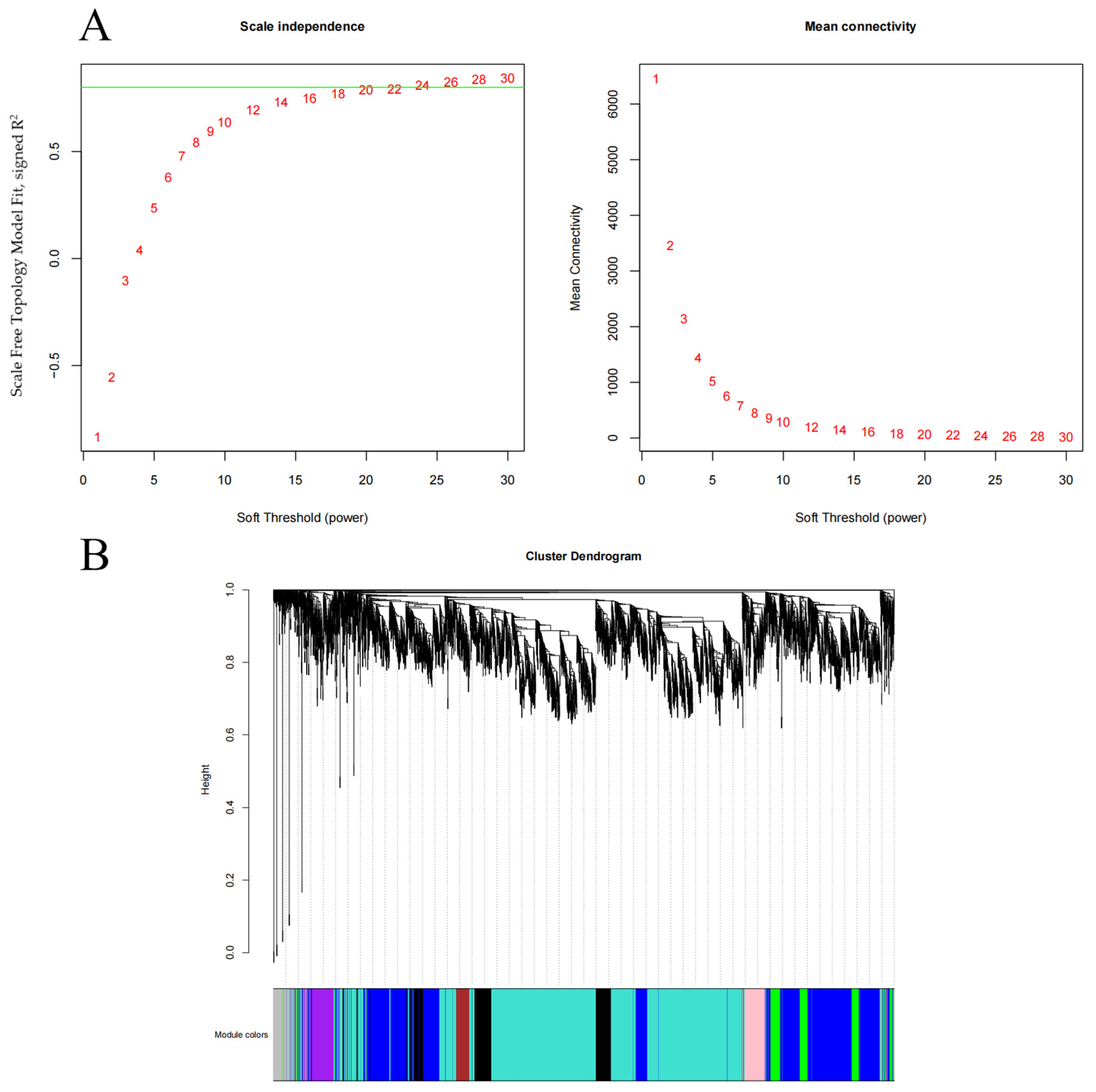 Fishes 07 00115 g006