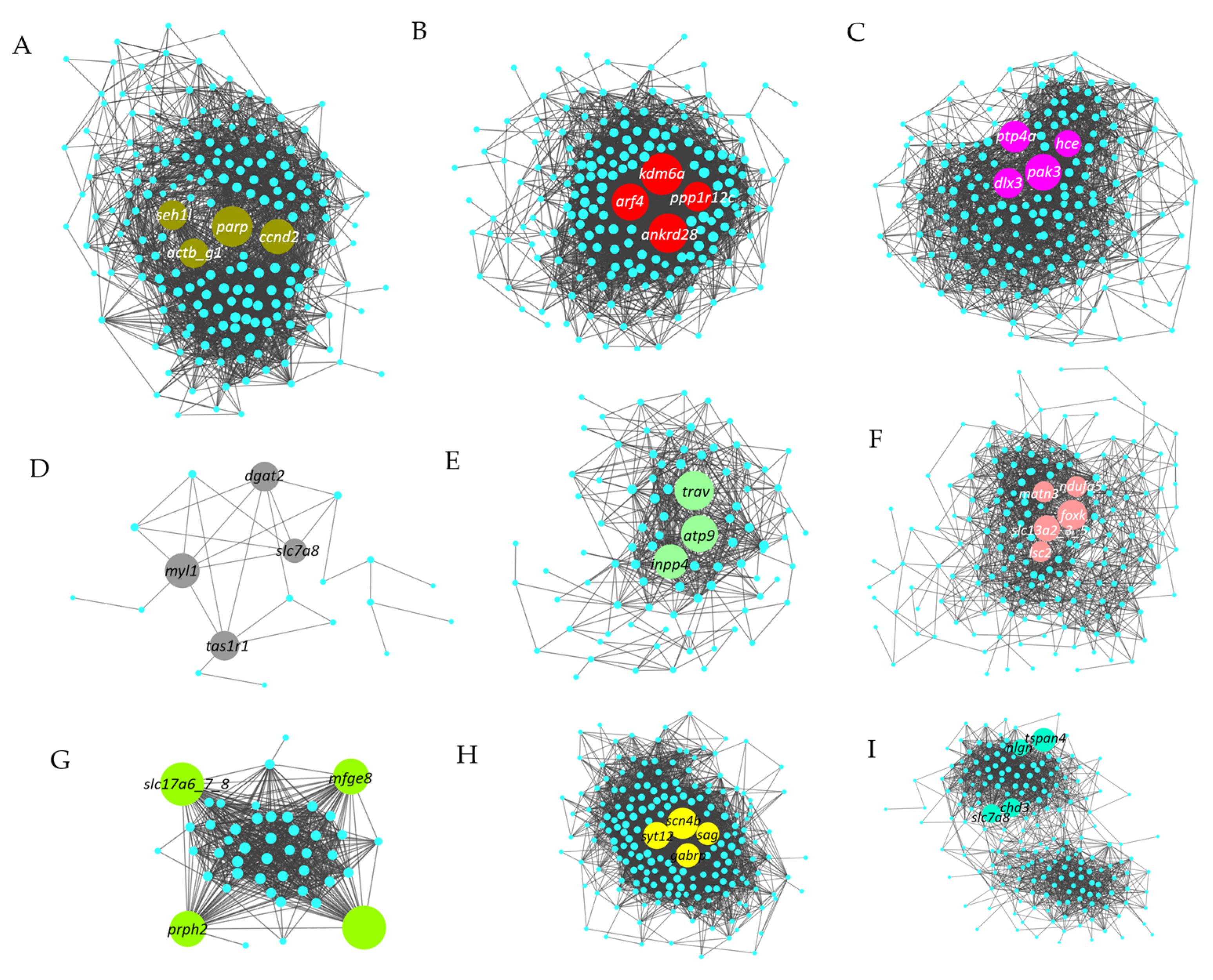 Fishes 07 00115 g008