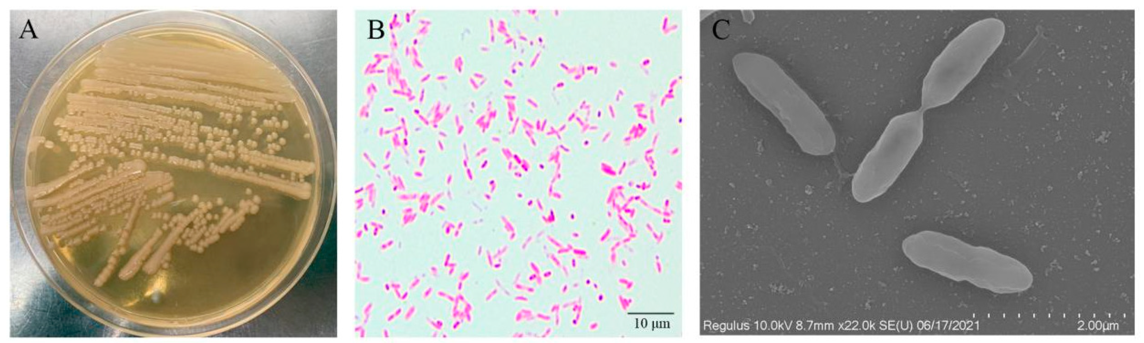 Fishes 07 00119 g002