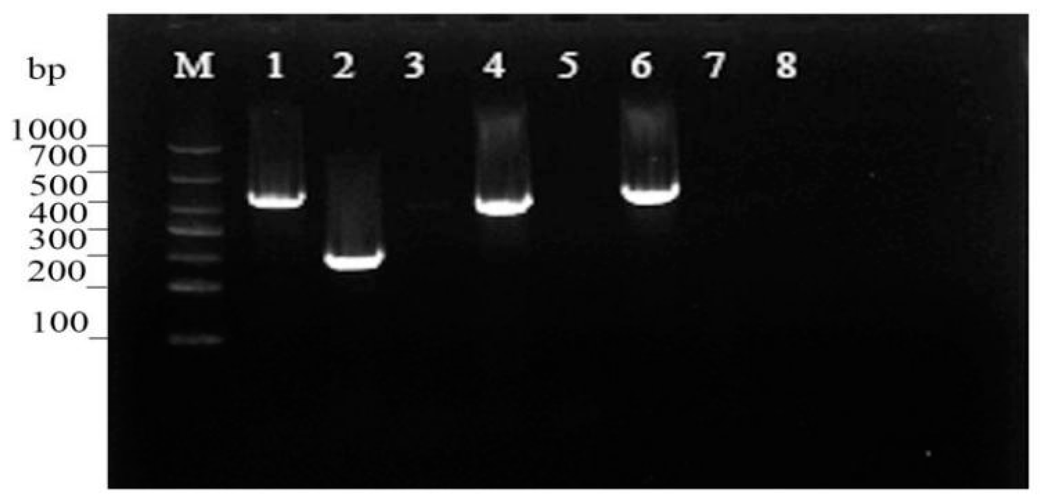 Fishes 07 00119 g004