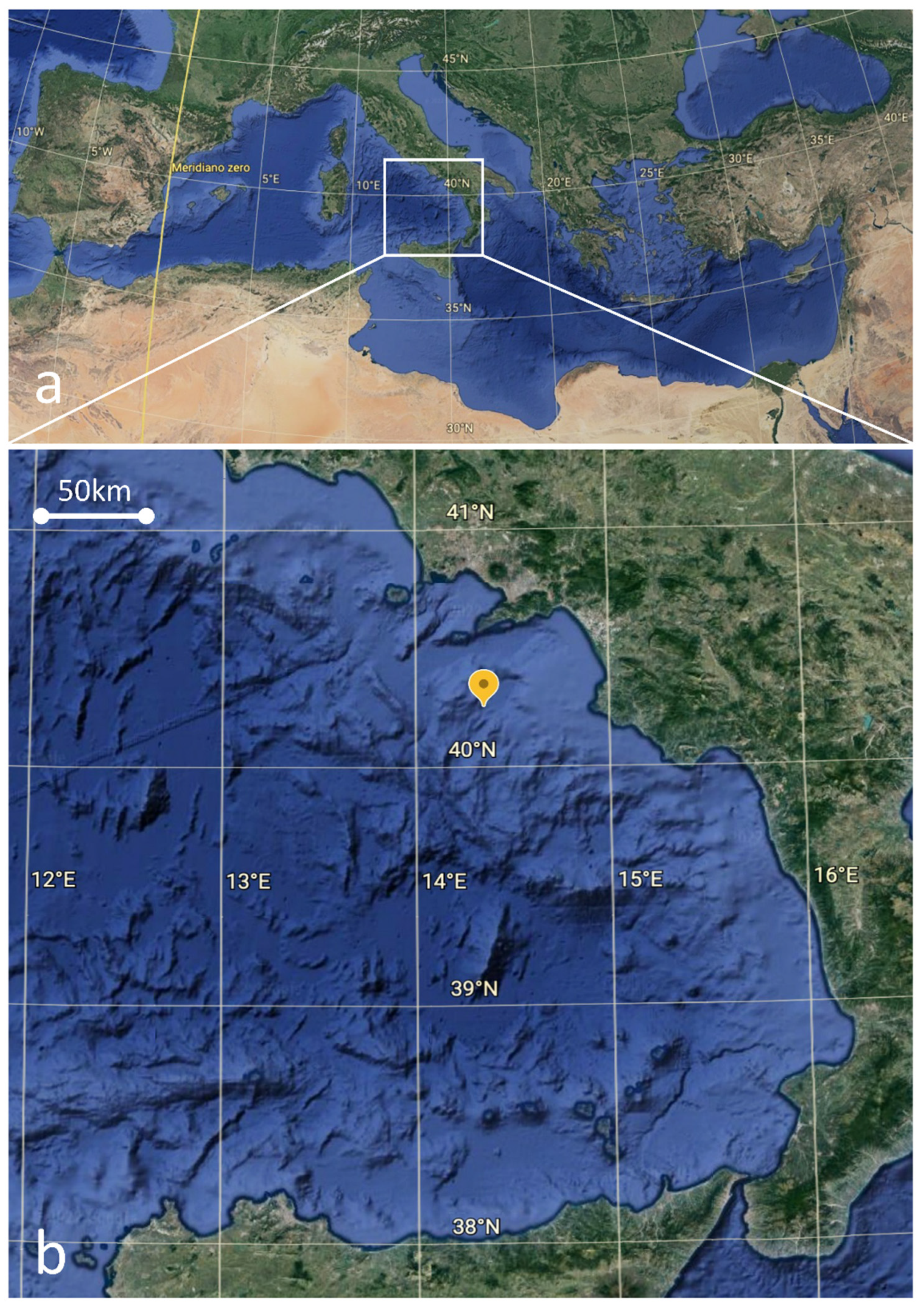 Fishes 07 00120 g001