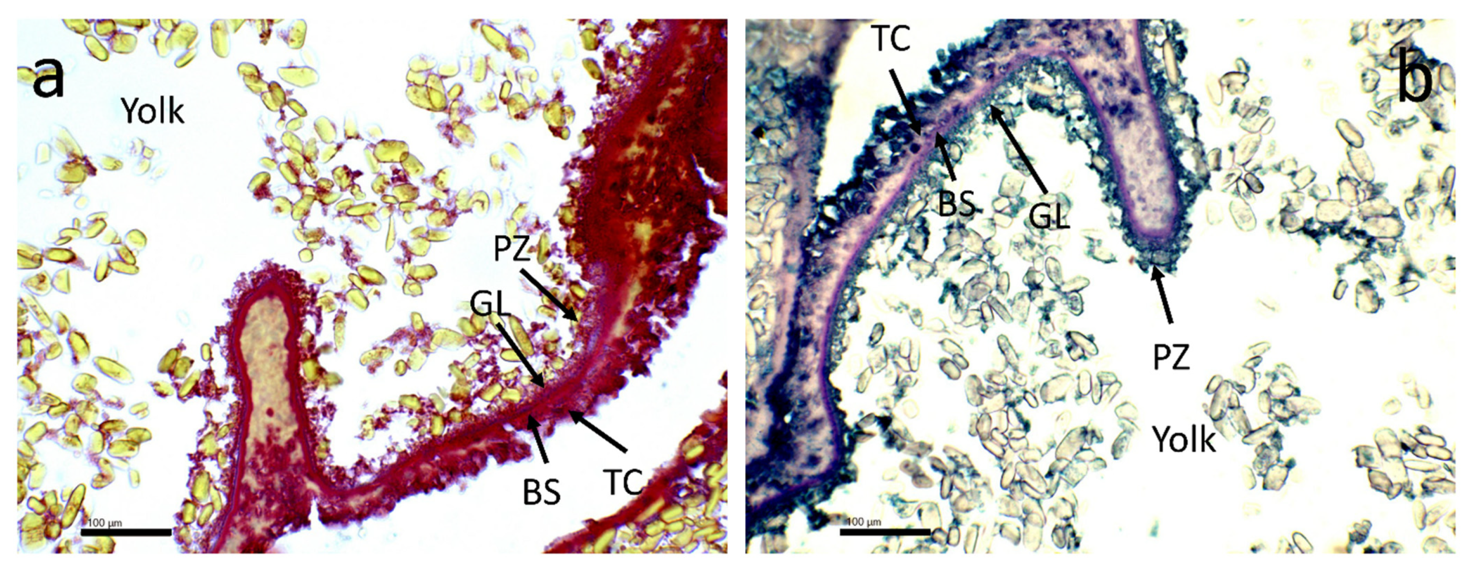 Fishes 07 00120 g003