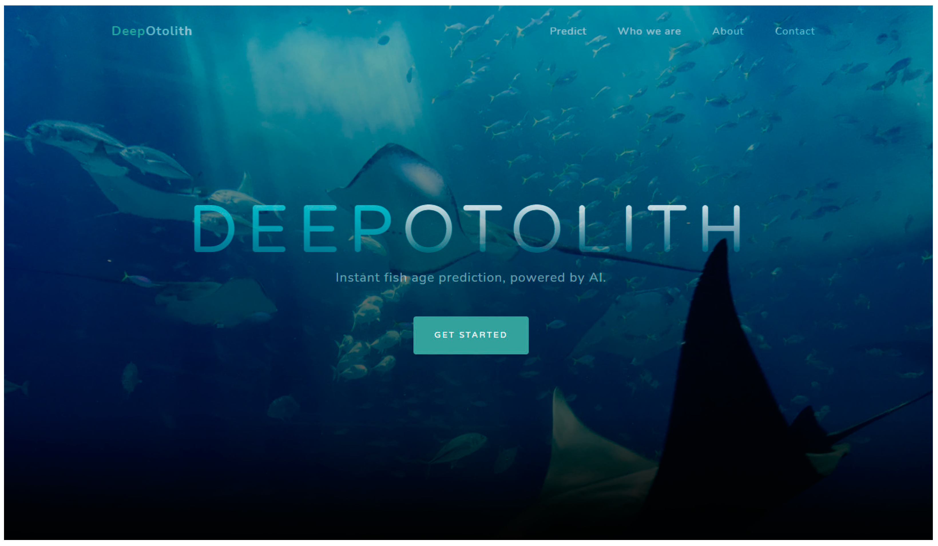 Fishes 07 00121 g001 550