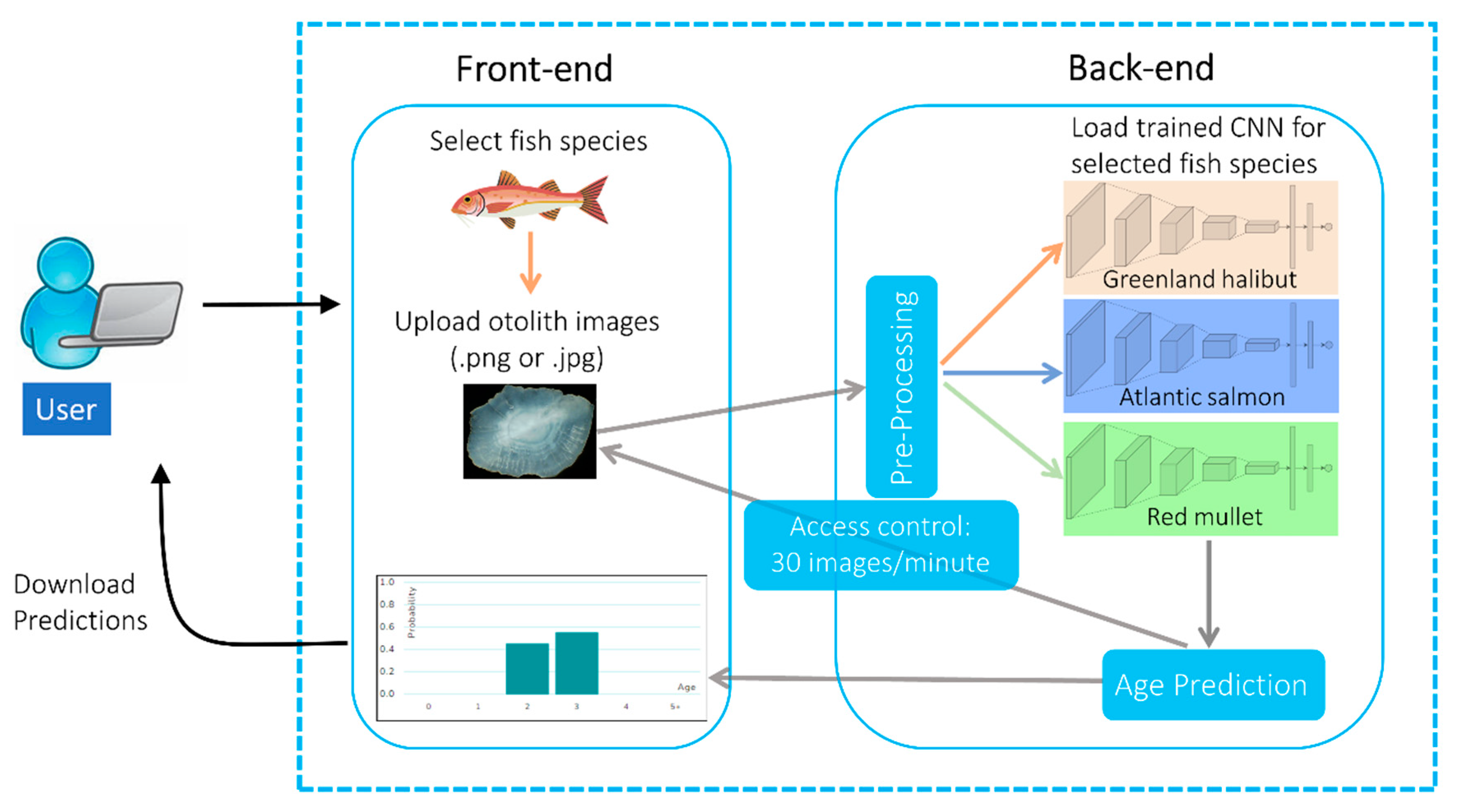 Fishes 07 00121 g003 550