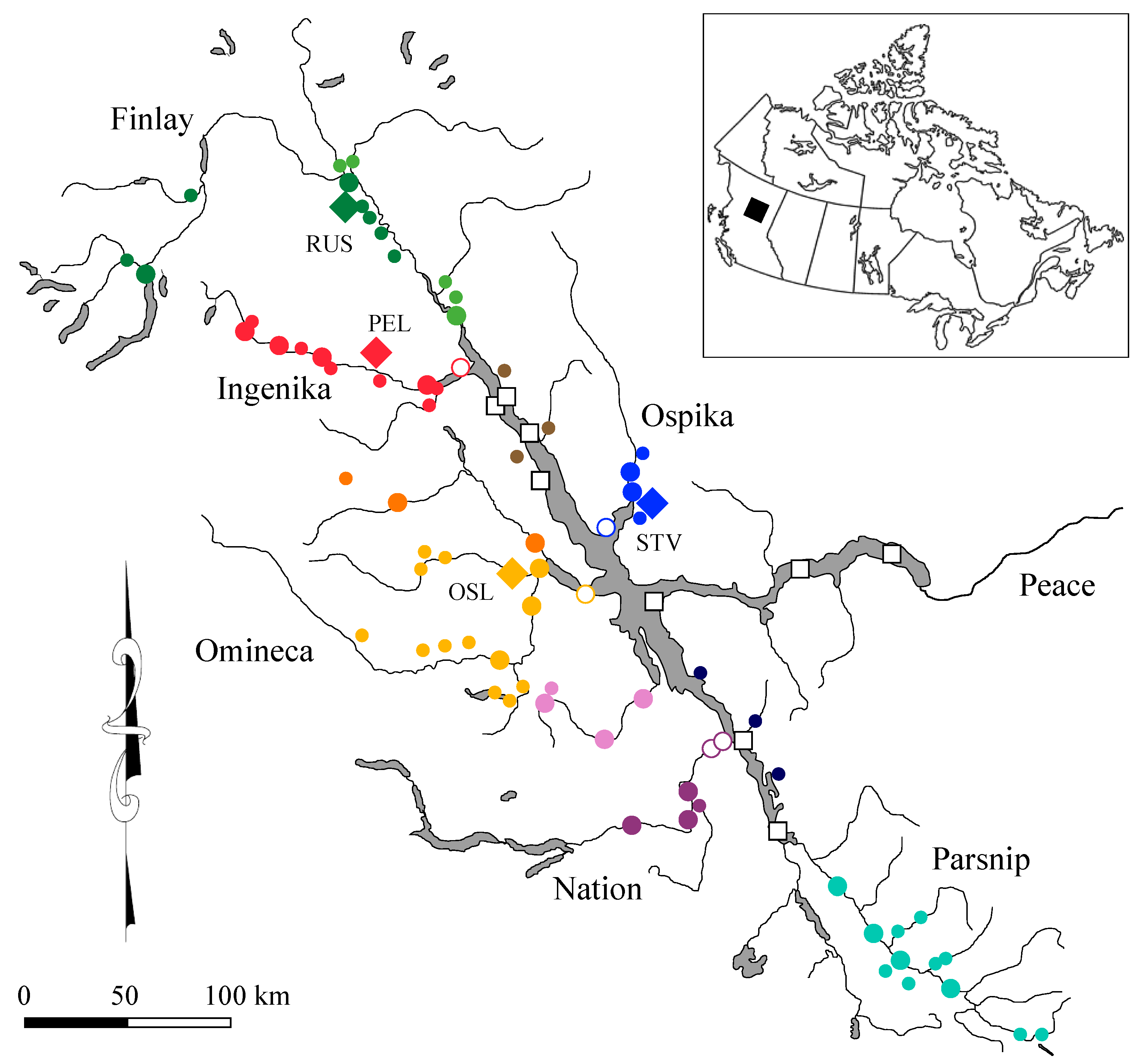 Fishes 07 00123 g001 550