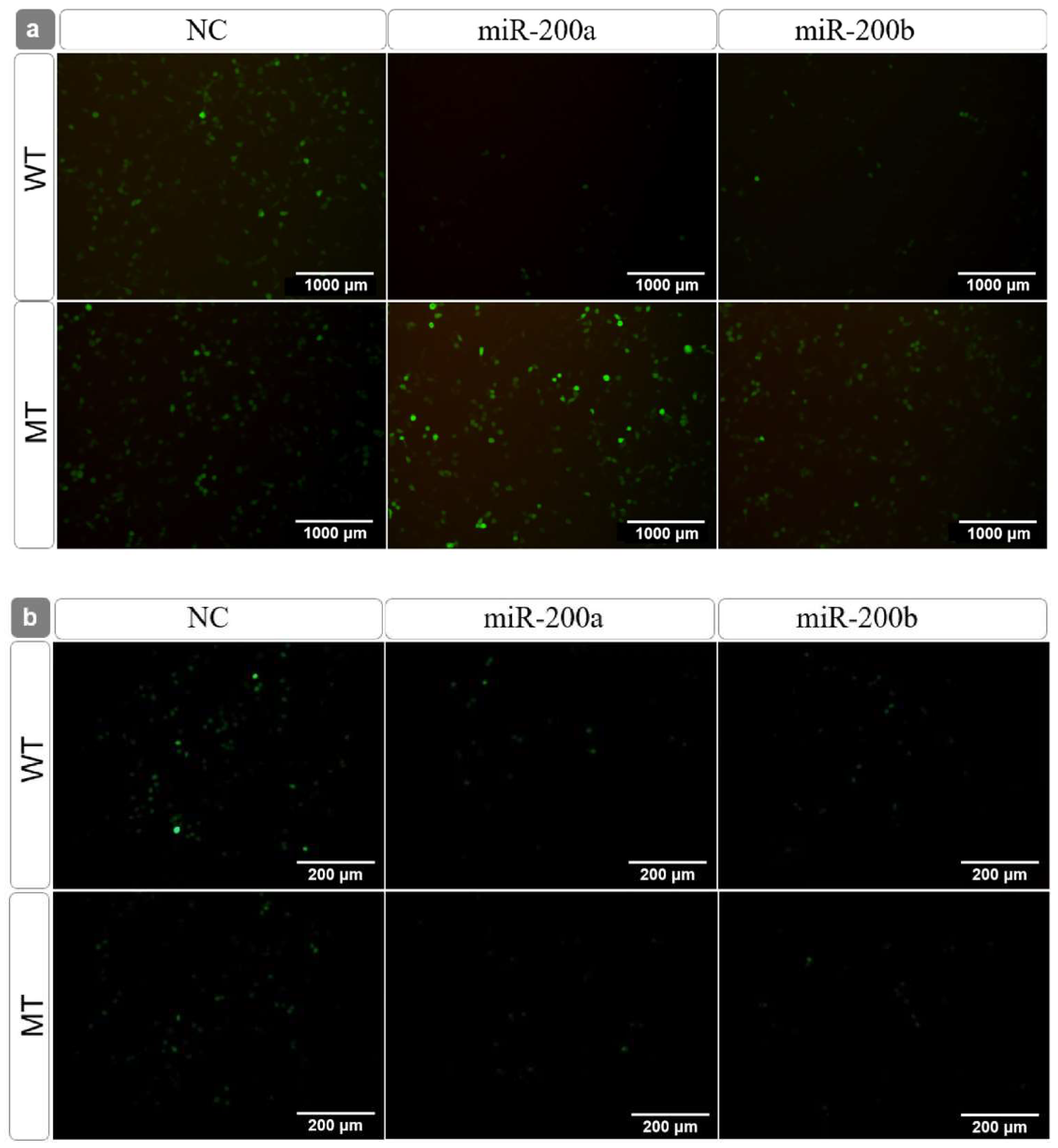 Fishes 07 00129 g005
