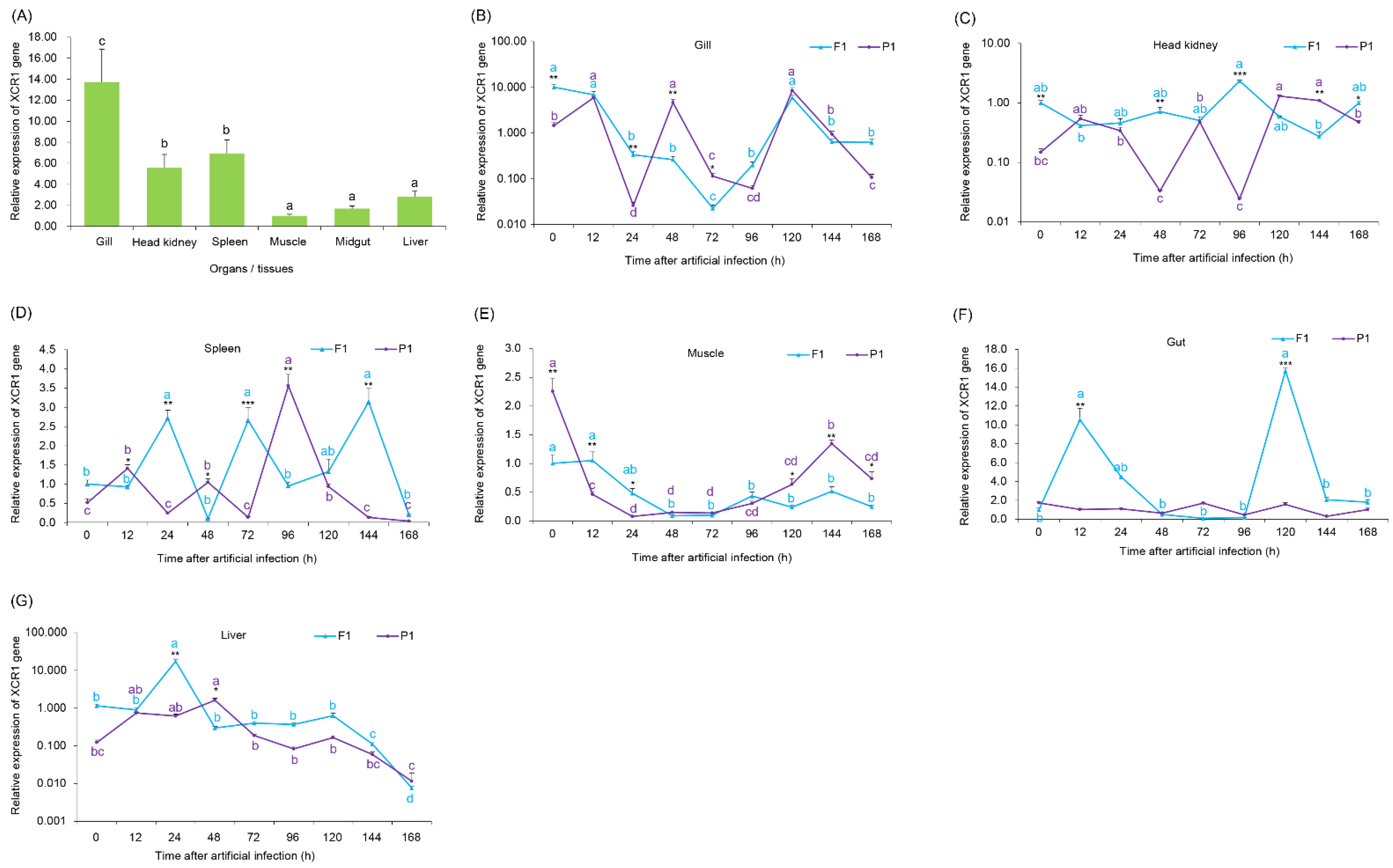 Fishes 07 00130 g003
