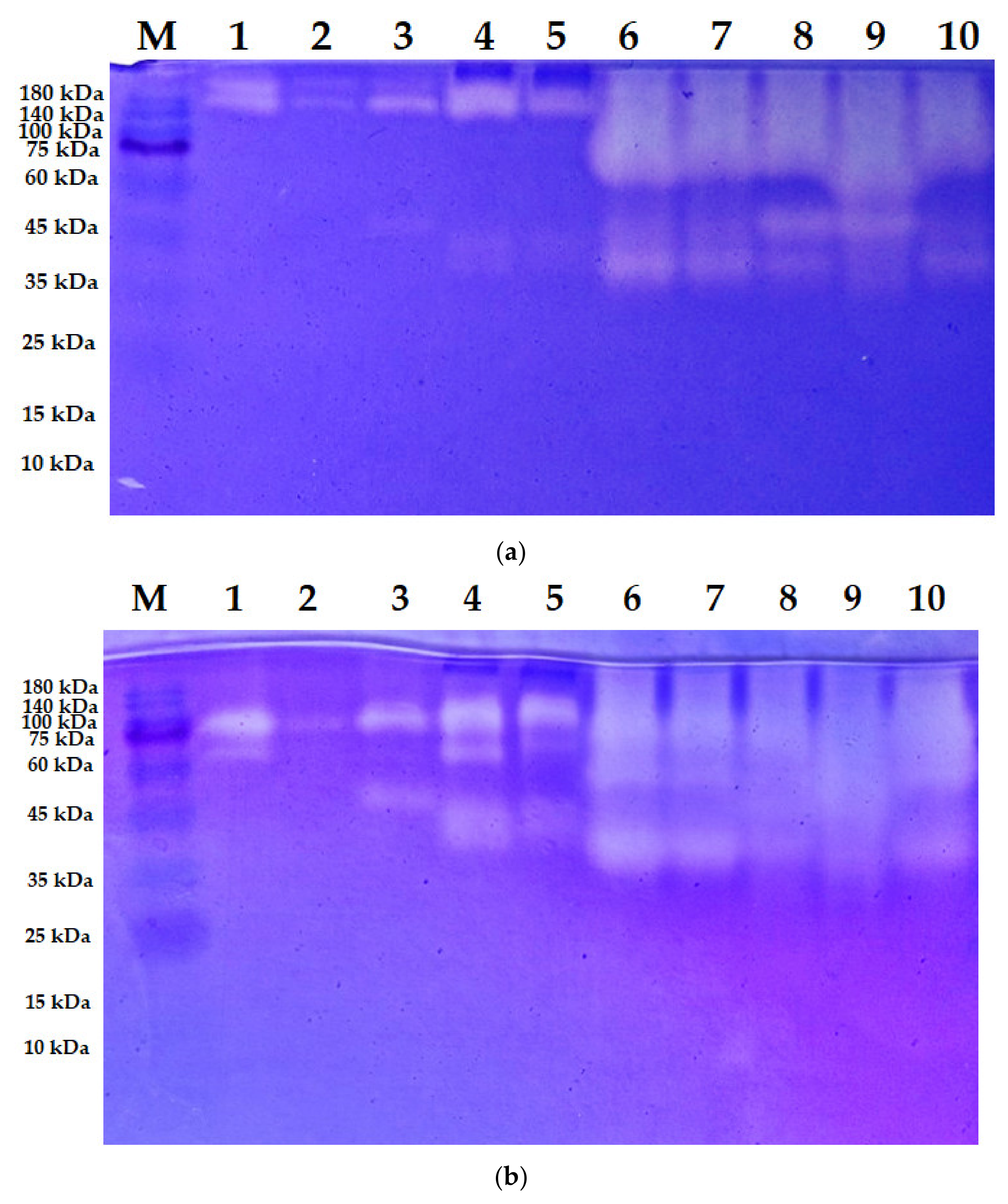 Fishes 07 00140 g002a Fishes 07 00140 g002a