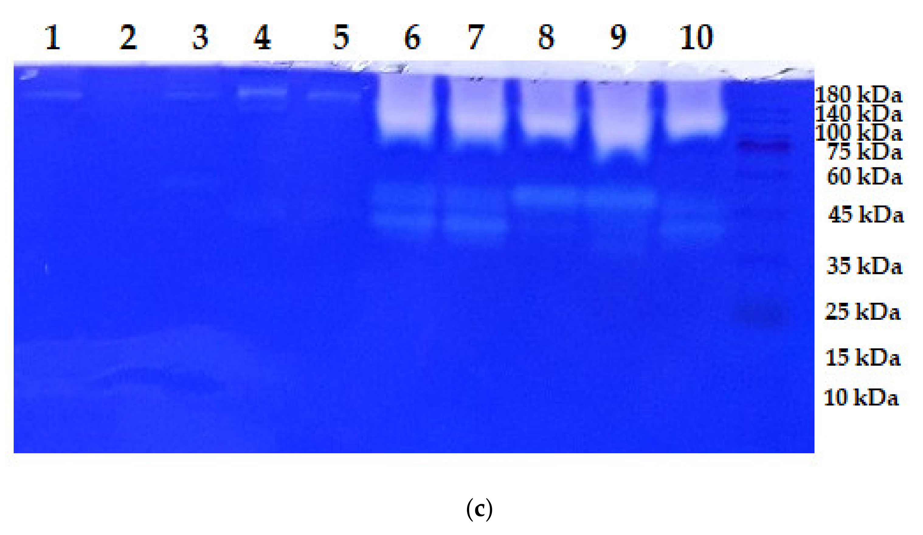 Fishes 07 00140 g002b Fishes 07 00140 g002b