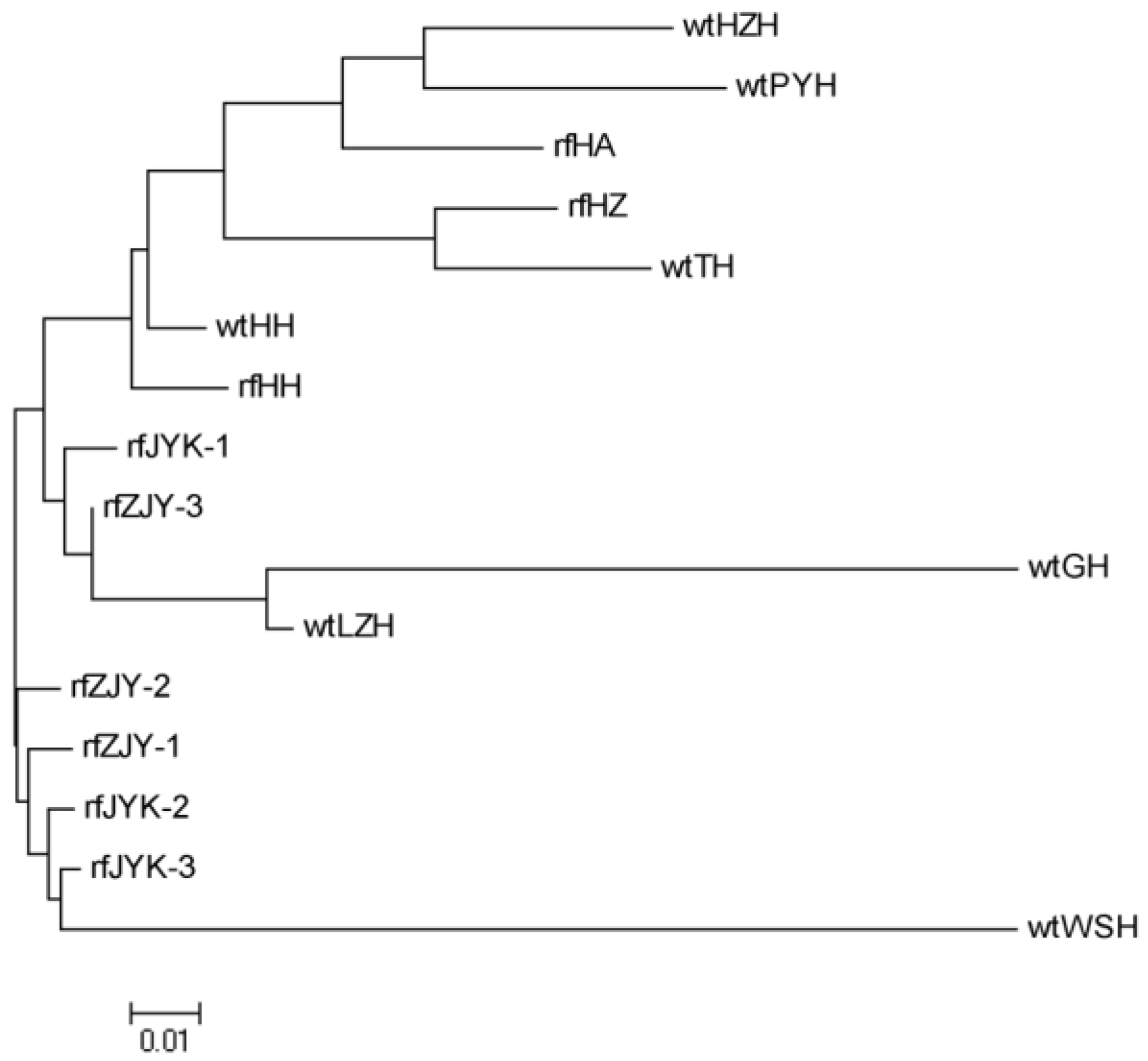 Fishes 07 00142 g003 550