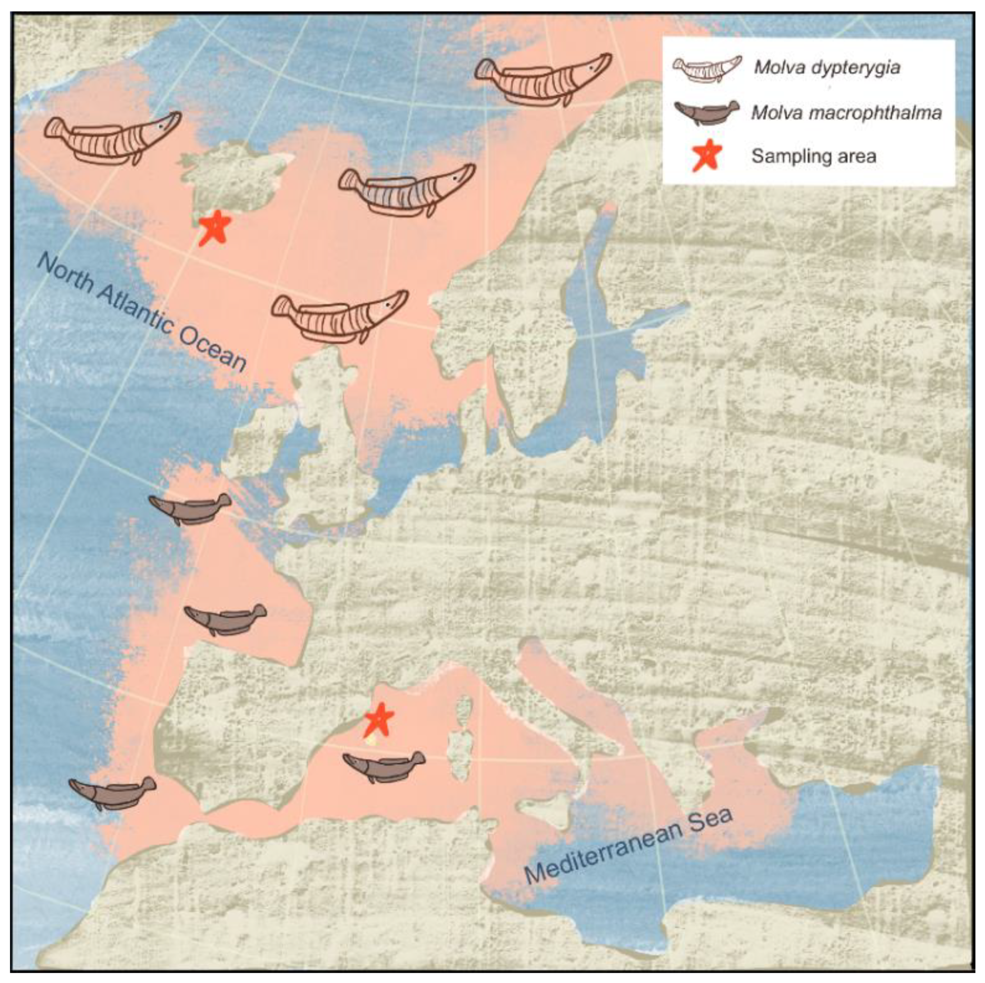 Fishes 07 00143 g001 550