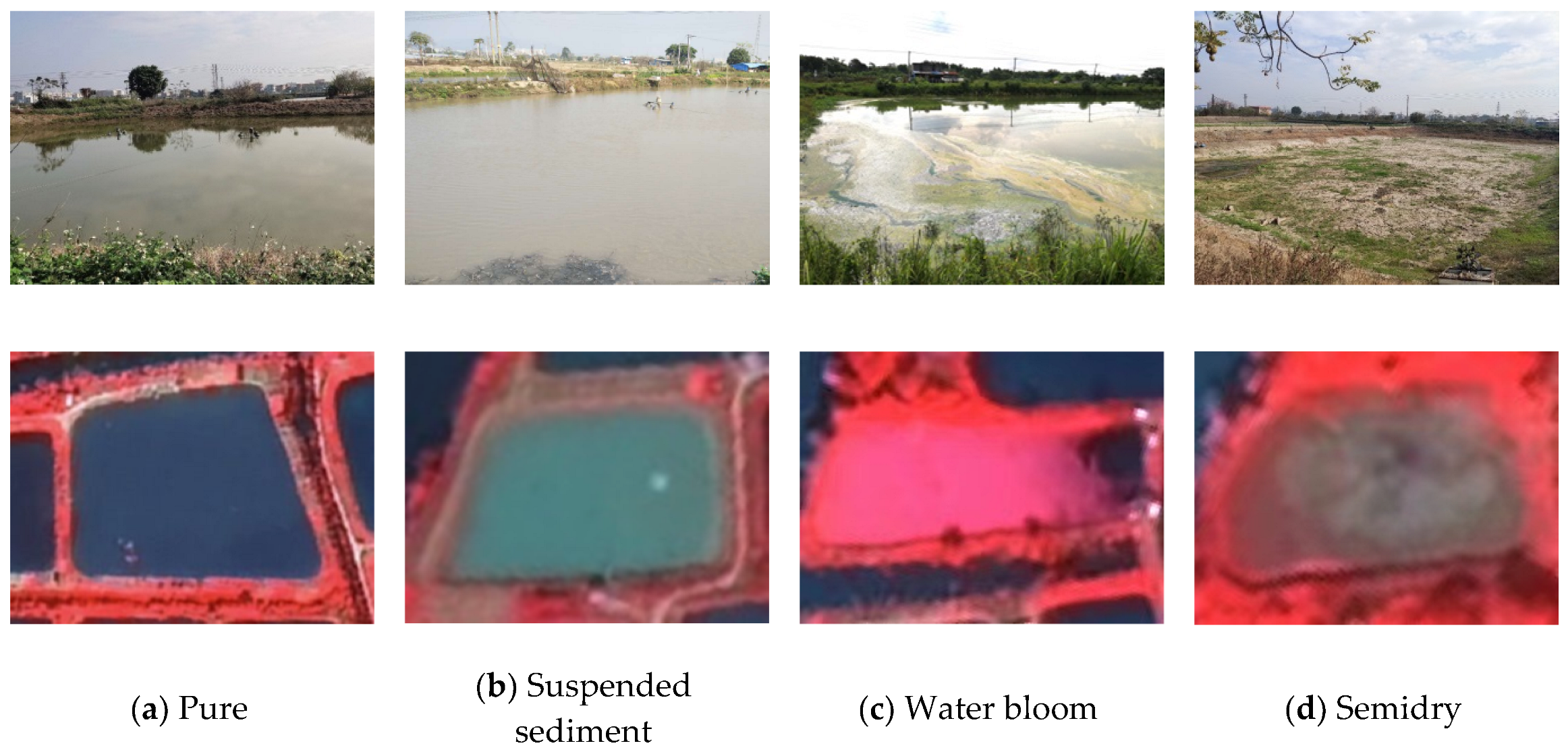 Fishes 07 00144 g001