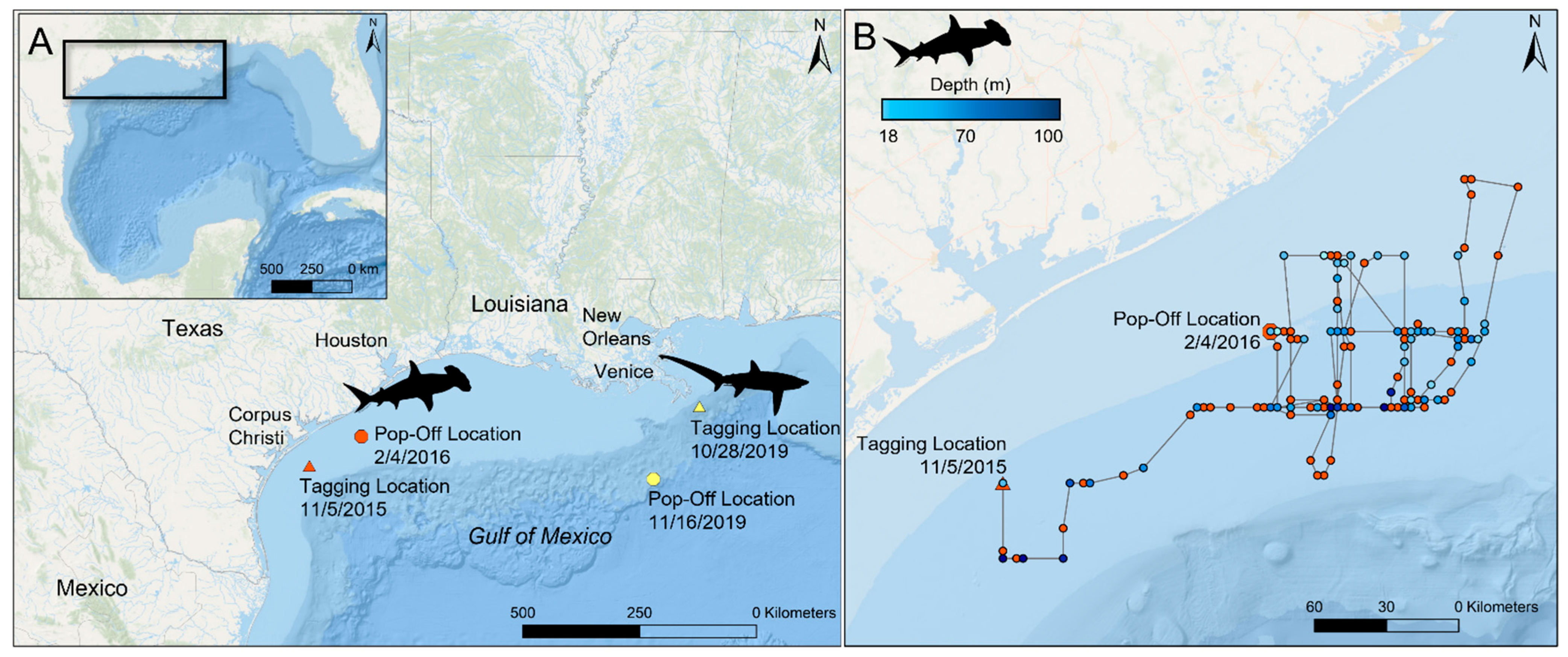 Fishes 07 00148 g001 Fishes 07 00148 g001