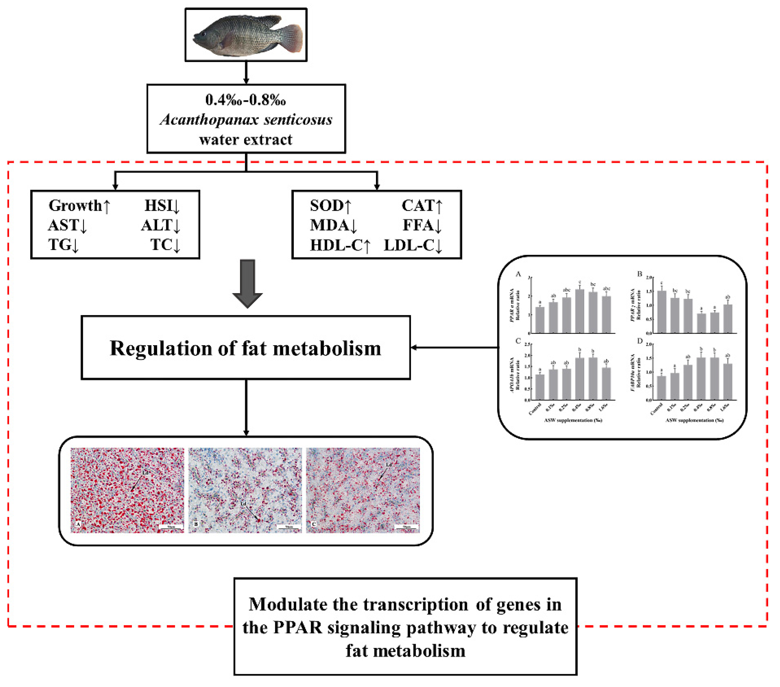 Fishes 07 00149 g004 Fishes 07 00149 g004