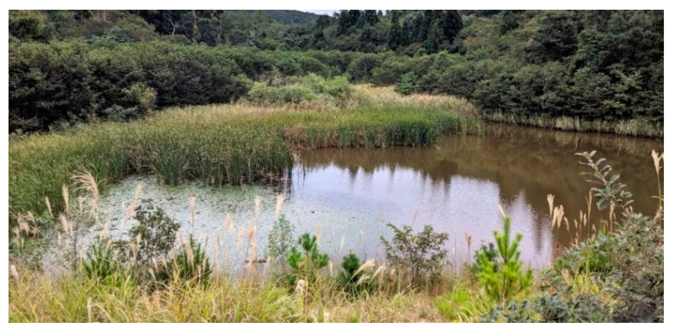 Fishes 07 00150 g003