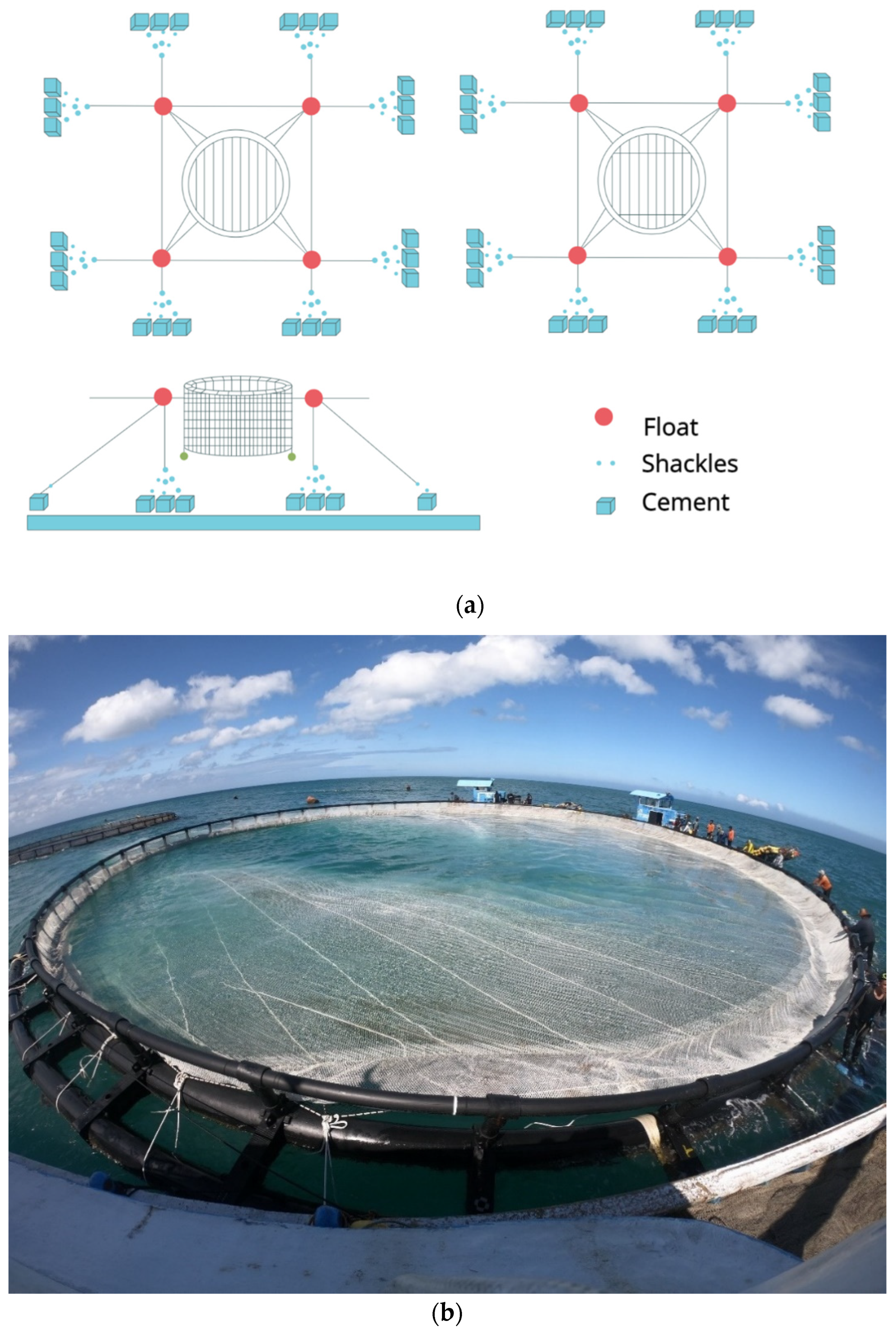 Fishes 07 00151 g002