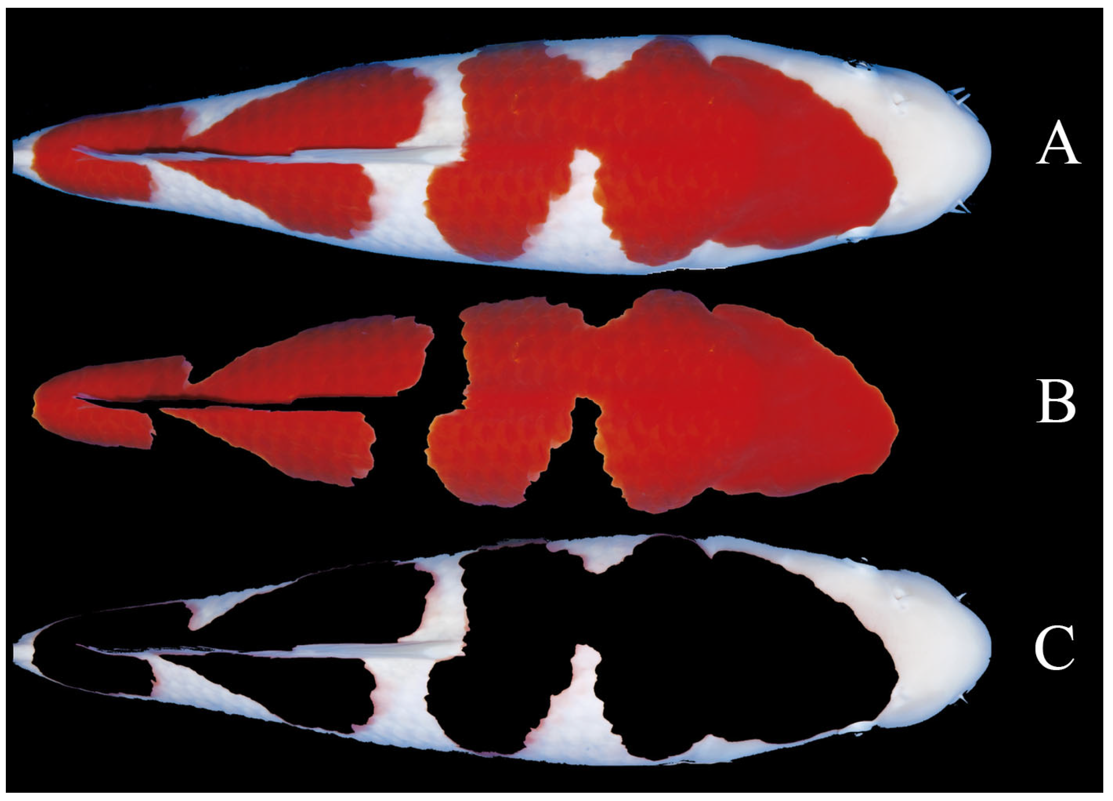 Fishes 07 00158 g003 550