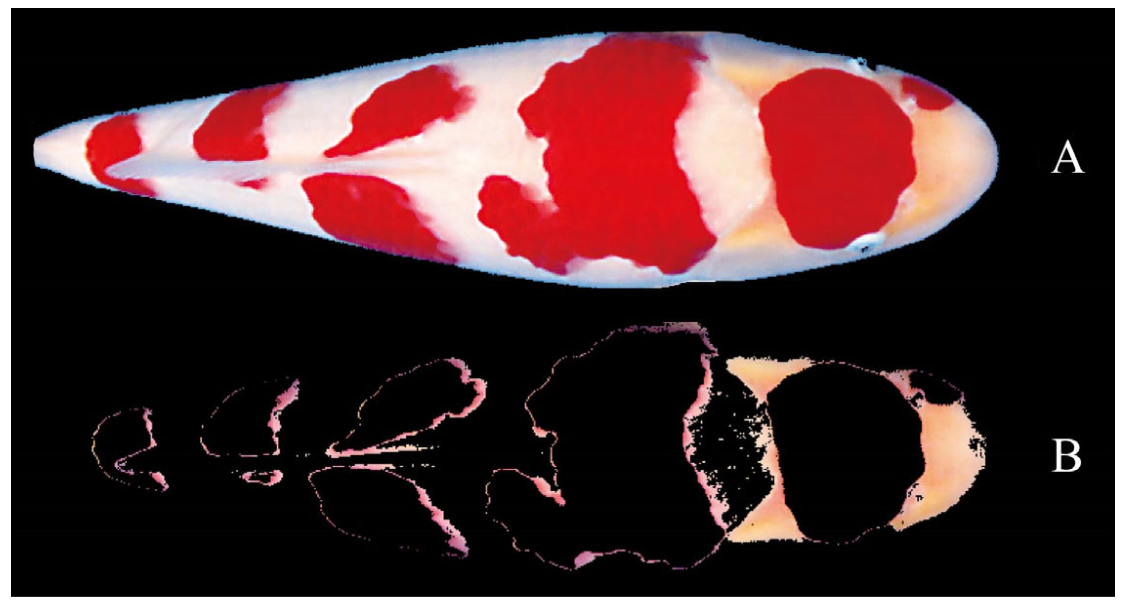 Fishes 07 00158 g004 550