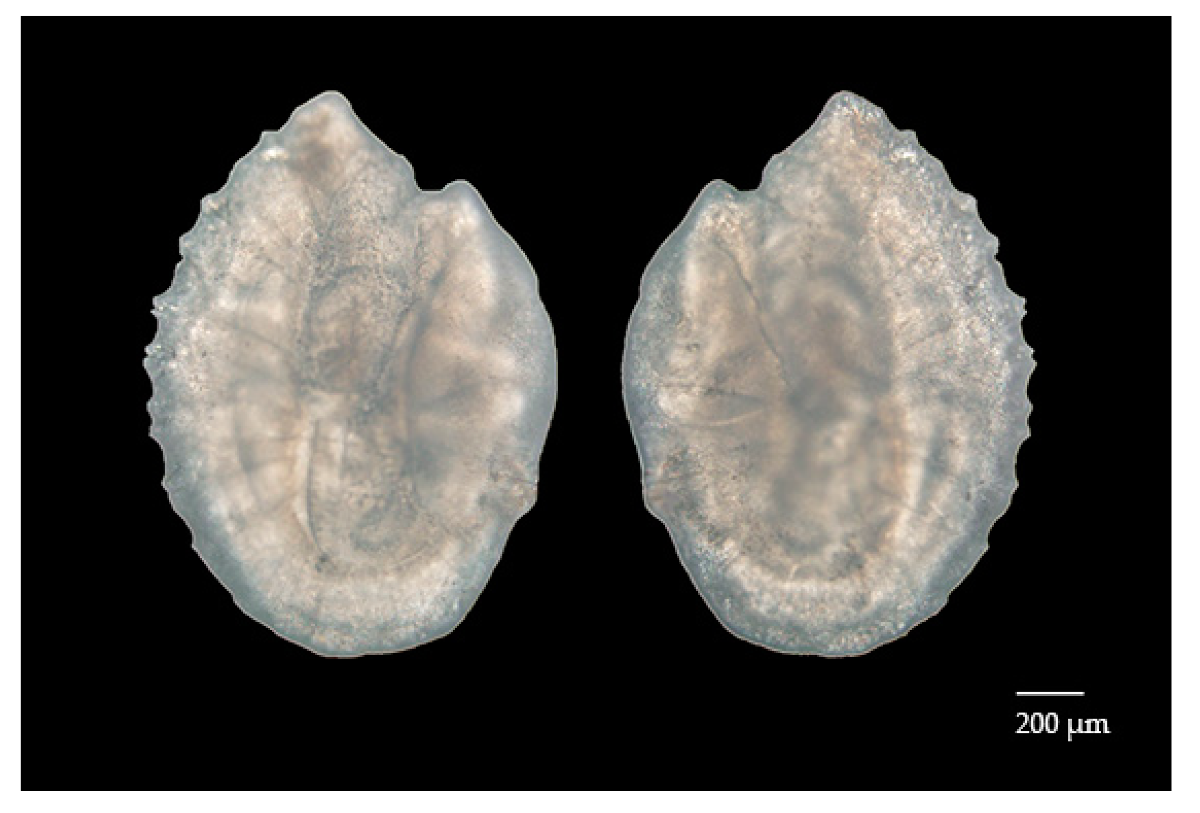 Fishes 07 00169 g001 550