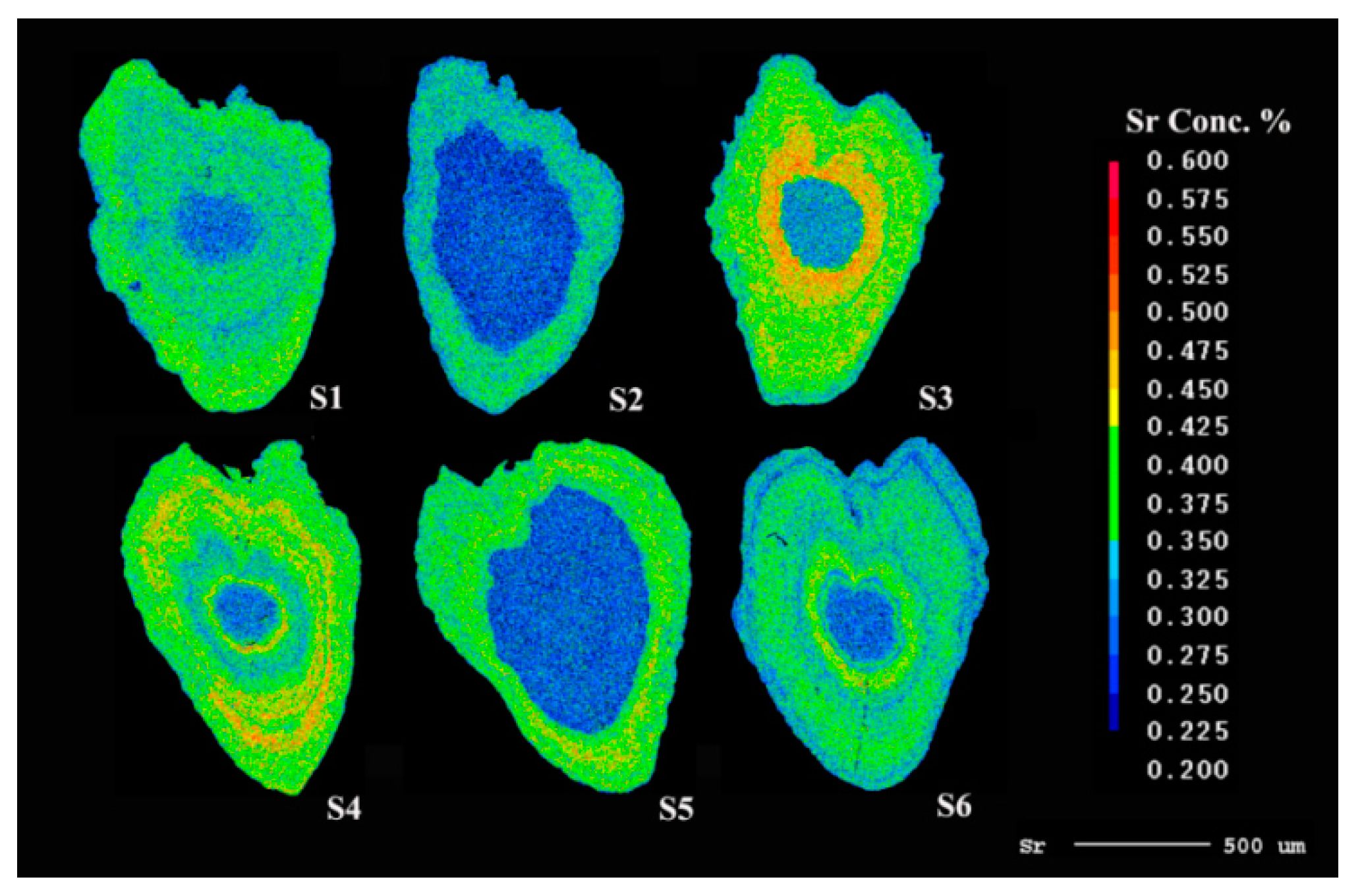 Fishes 07 00172 g006 550