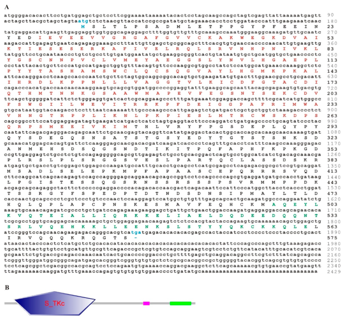 Fishes 07 00173 g001
