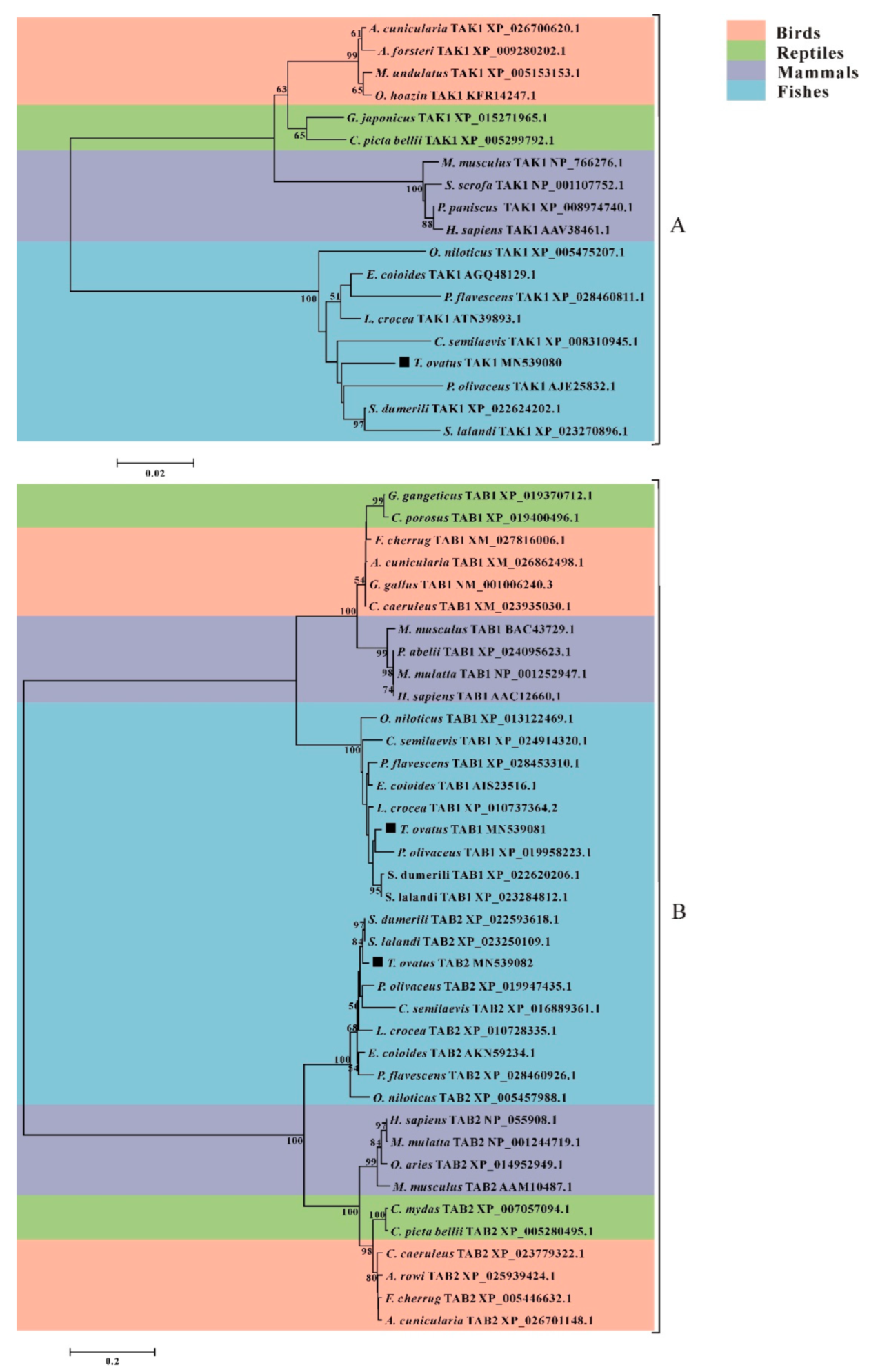 Fishes 07 00173 g007