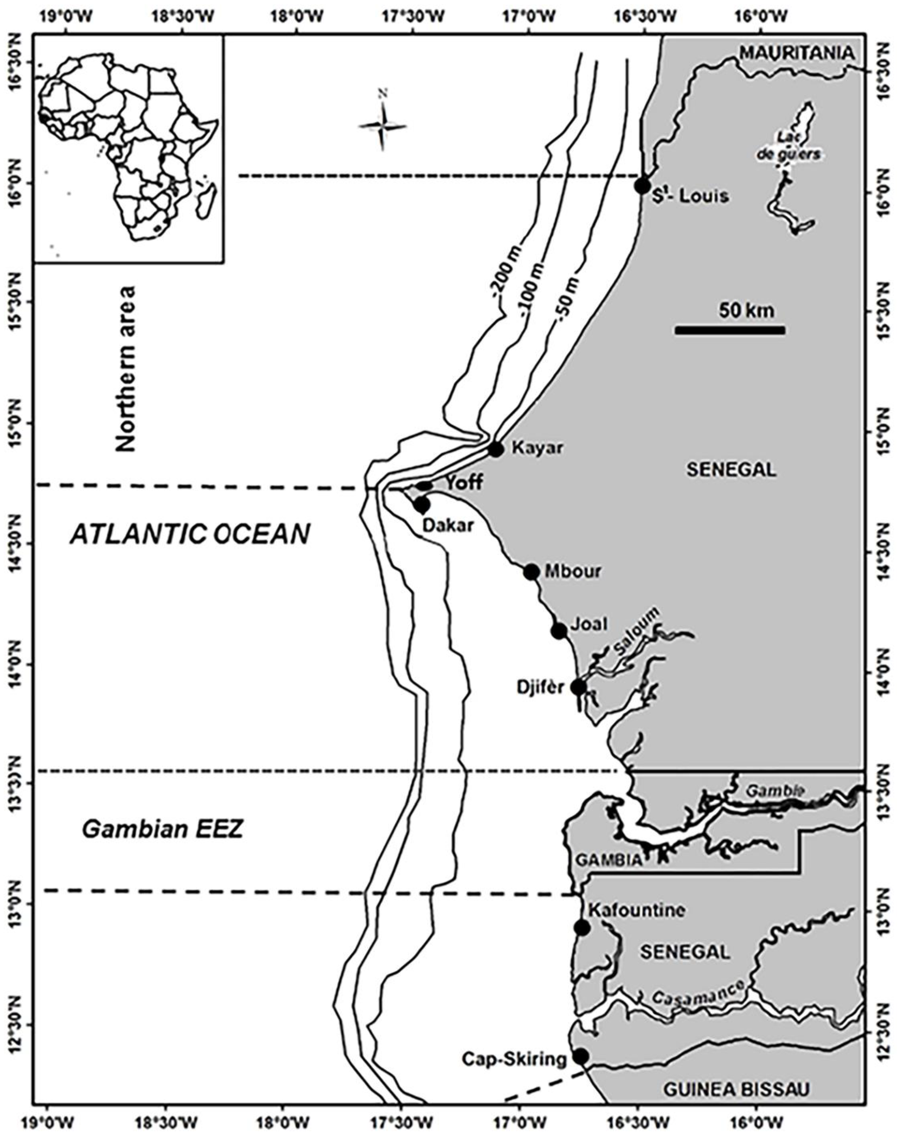 Fishes 07 00178 g001