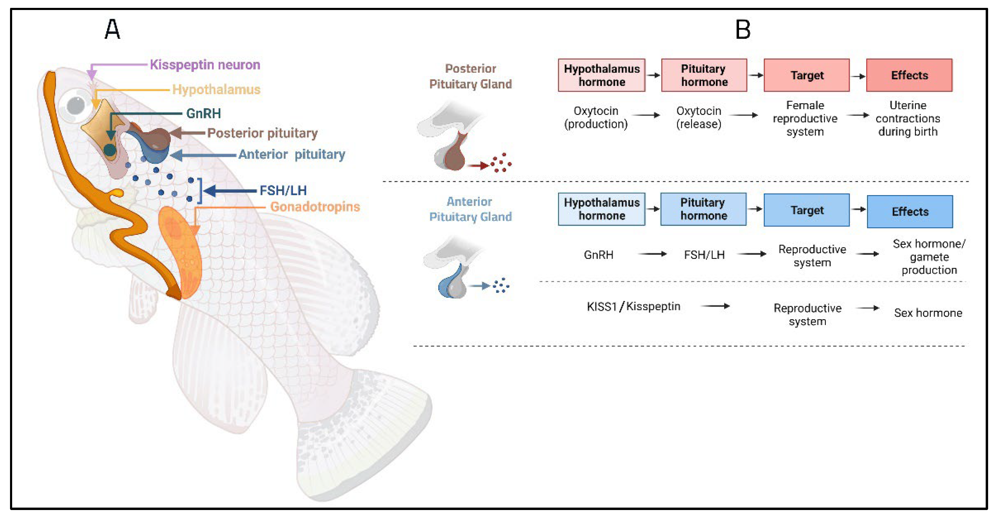 Fishes 07 00189 g003